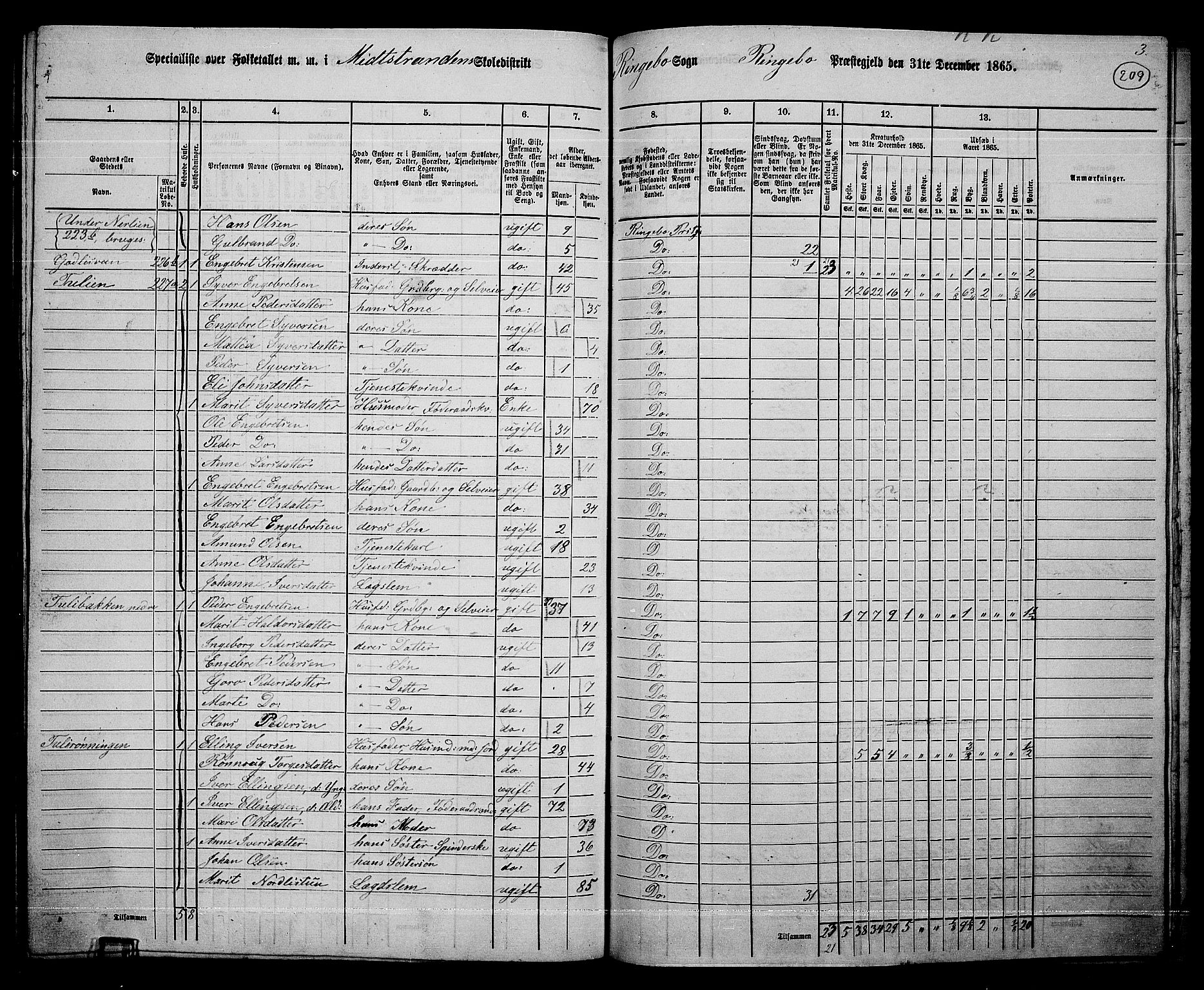 RA, 1865 census for Ringebu, 1865, p. 182