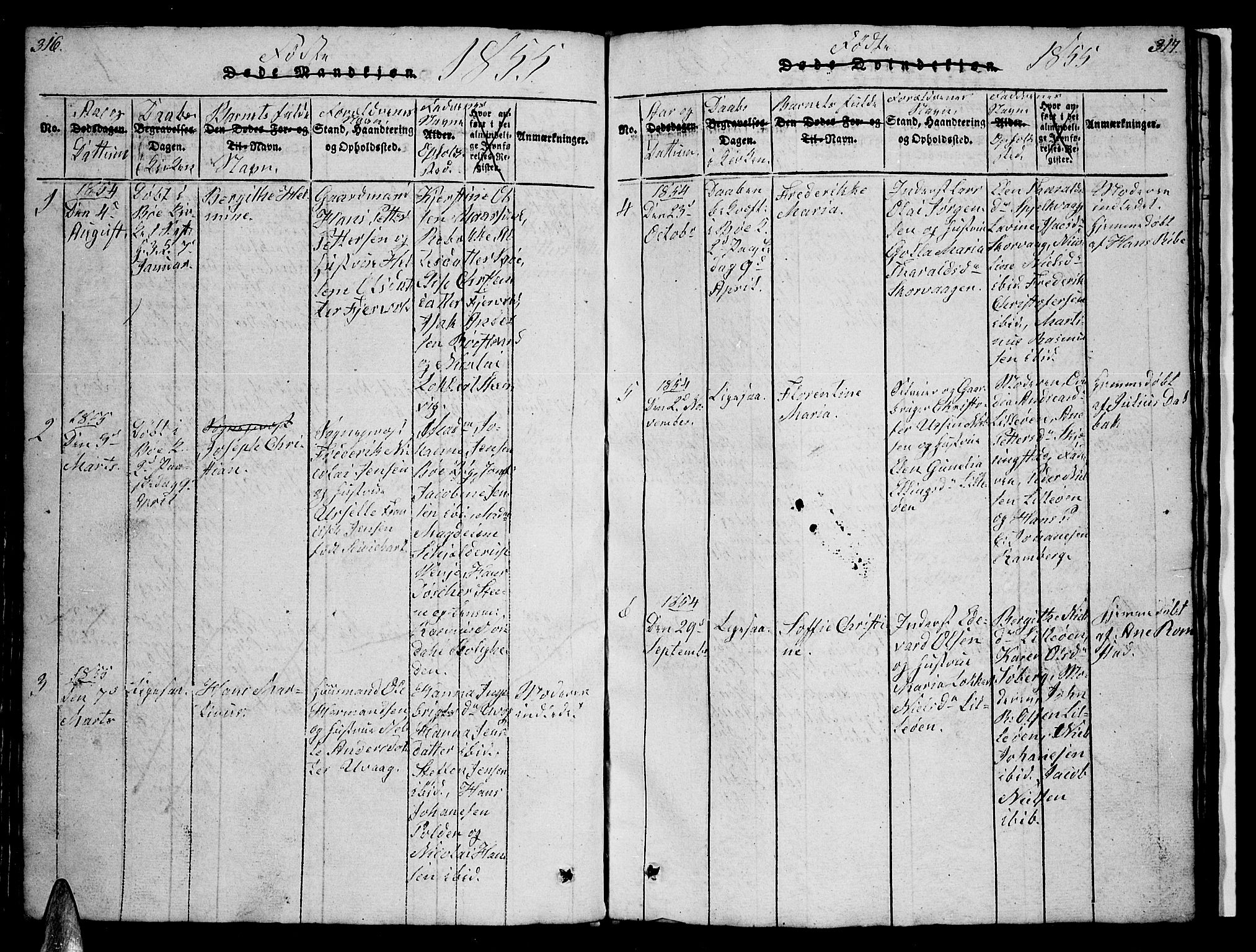 Ministerialprotokoller, klokkerbøker og fødselsregistre - Nordland, AV/SAT-A-1459/891/L1312: Parish register (copy) no. 891C01, 1820-1856, p. 316-317