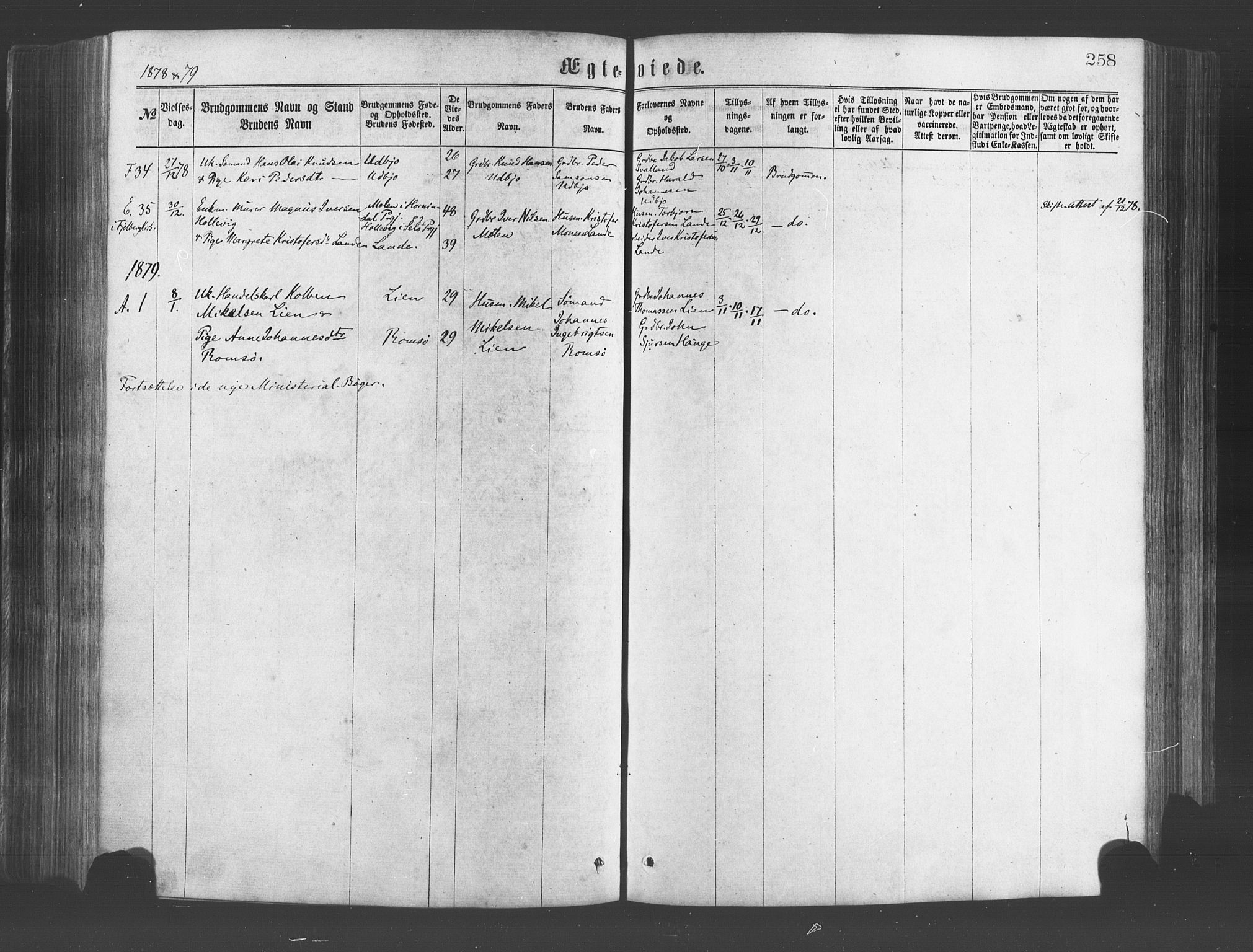 Fjelberg sokneprestembete, SAB/A-75201/H/Haa: Parish register (official) no. A 8, 1866-1879, p. 258