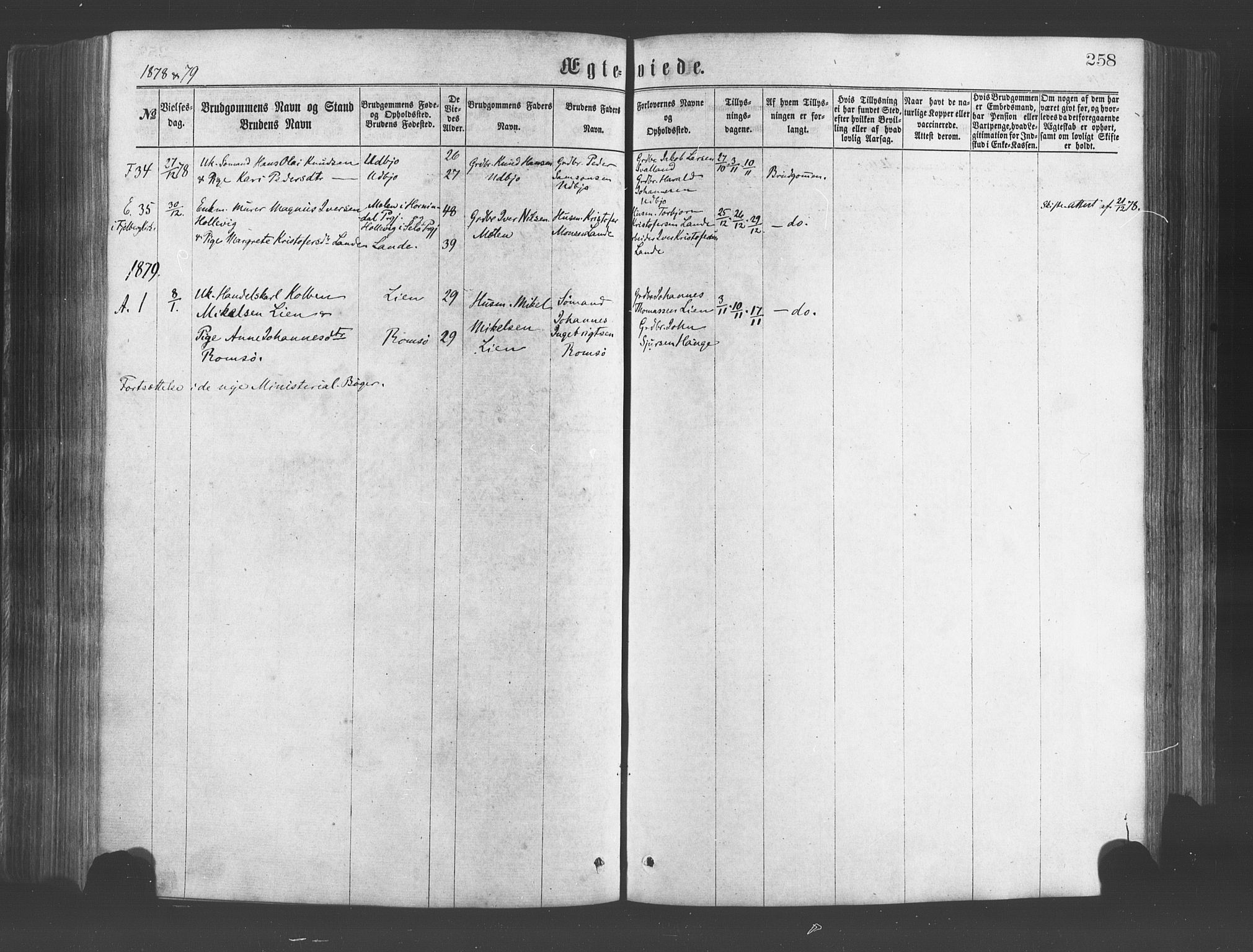 Fjelberg sokneprestembete, AV/SAB-A-75201/H/Haa: Parish register (official) no. A 8, 1866-1879, p. 258