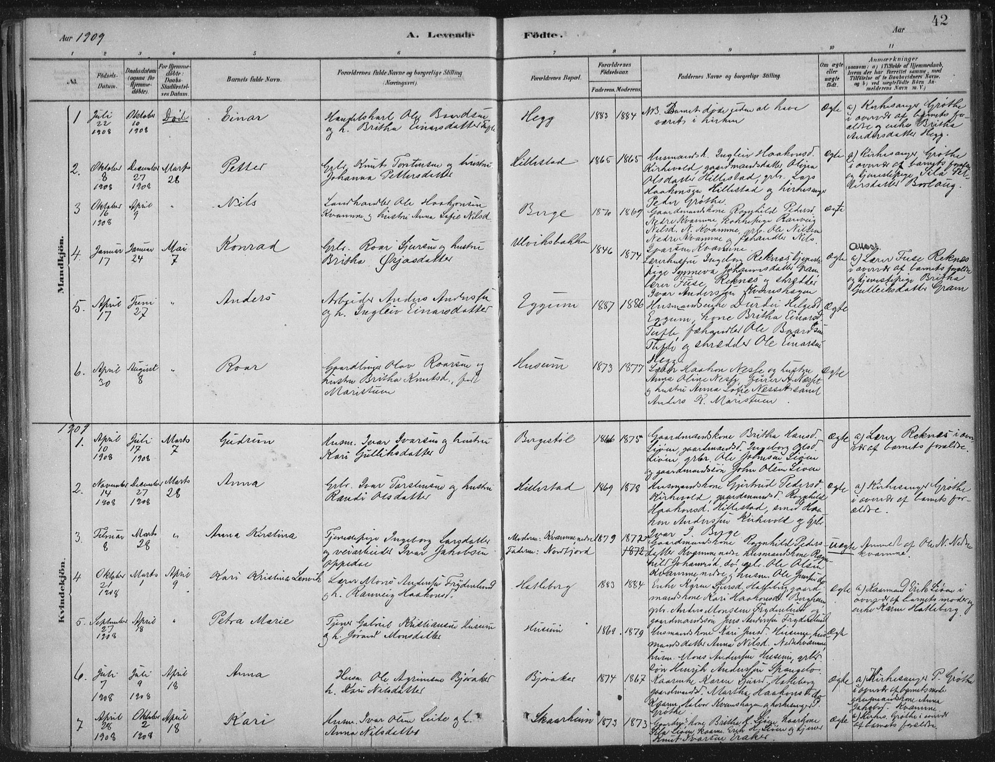 Lærdal sokneprestembete, SAB/A-81201: Parish register (official) no. C  1, 1878-1911, p. 42
