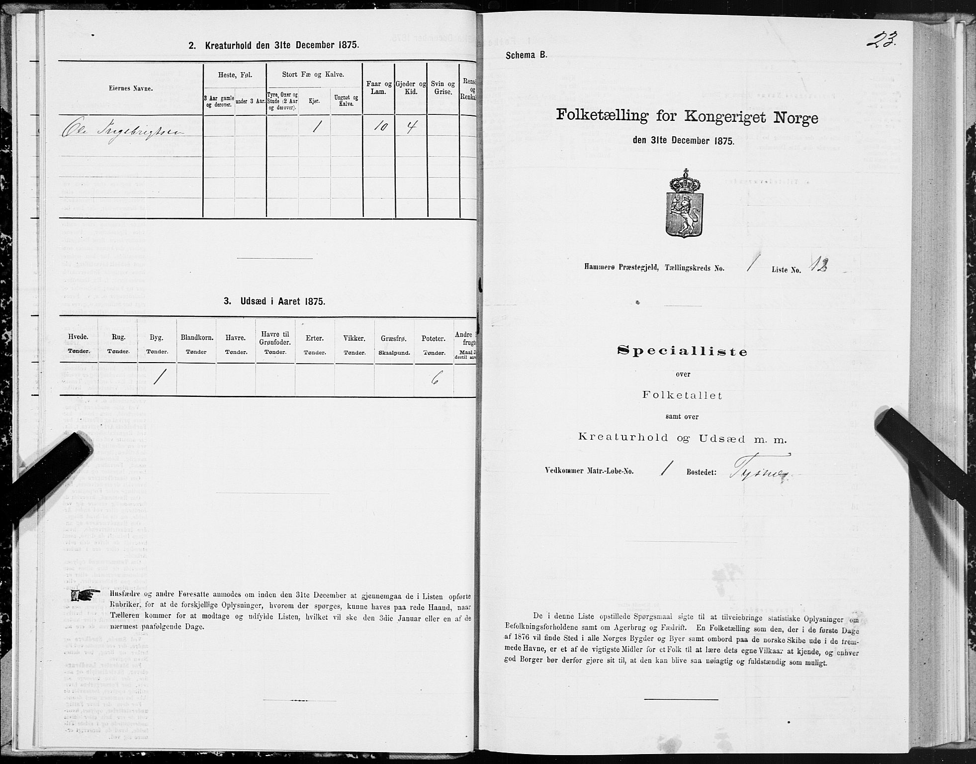 SAT, 1875 census for 1849P Hamarøy, 1875, p. 1023