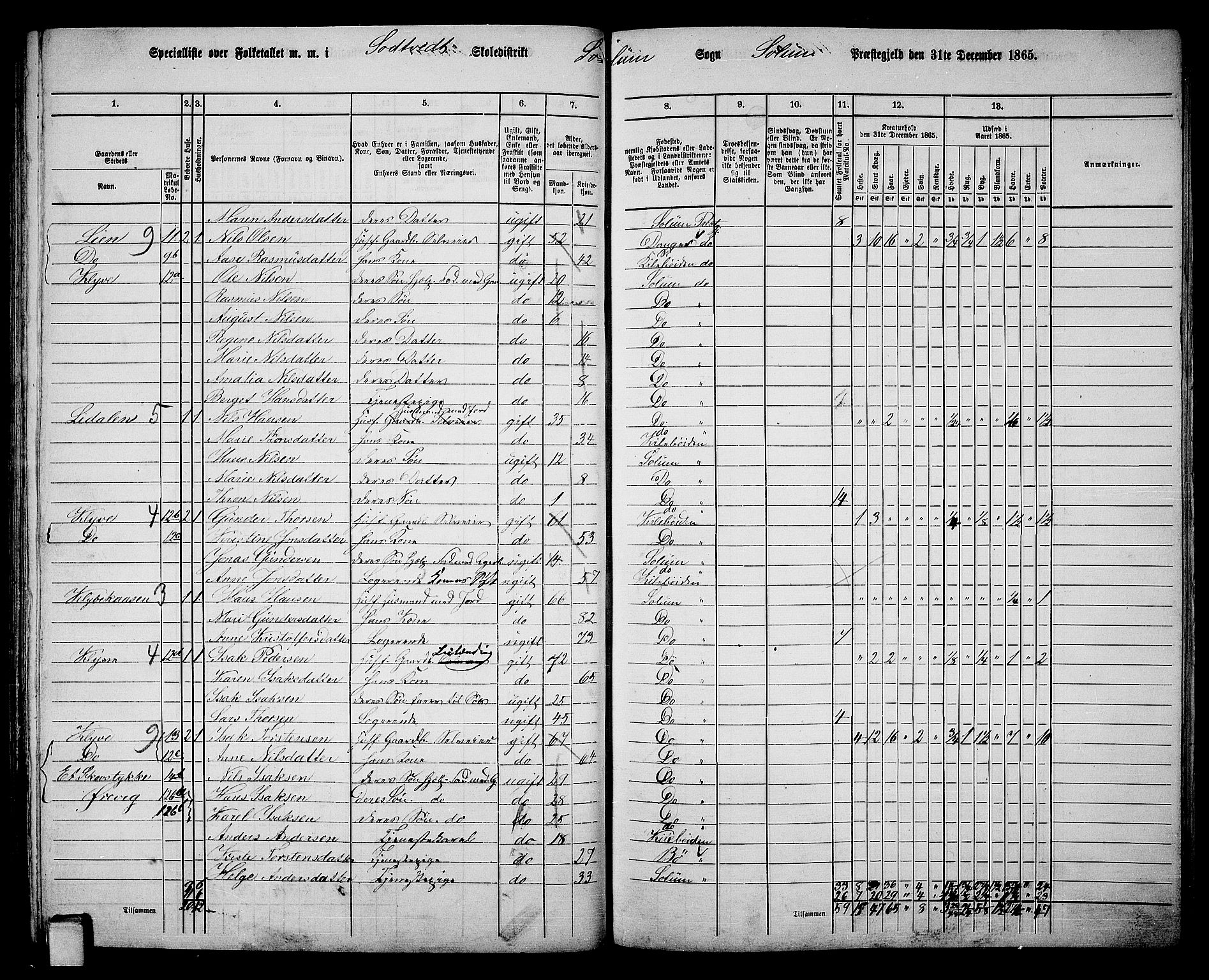 RA, 1865 census for Solum, 1865, p. 118