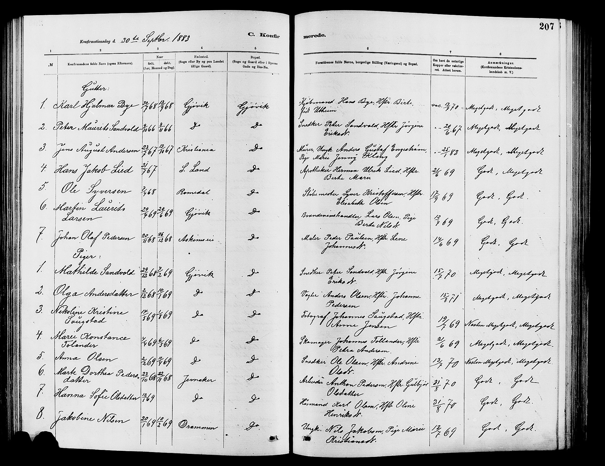 Vardal prestekontor, SAH/PREST-100/H/Ha/Hab/L0007: Parish register (copy) no. 7 /2, 1881-1895, p. 207