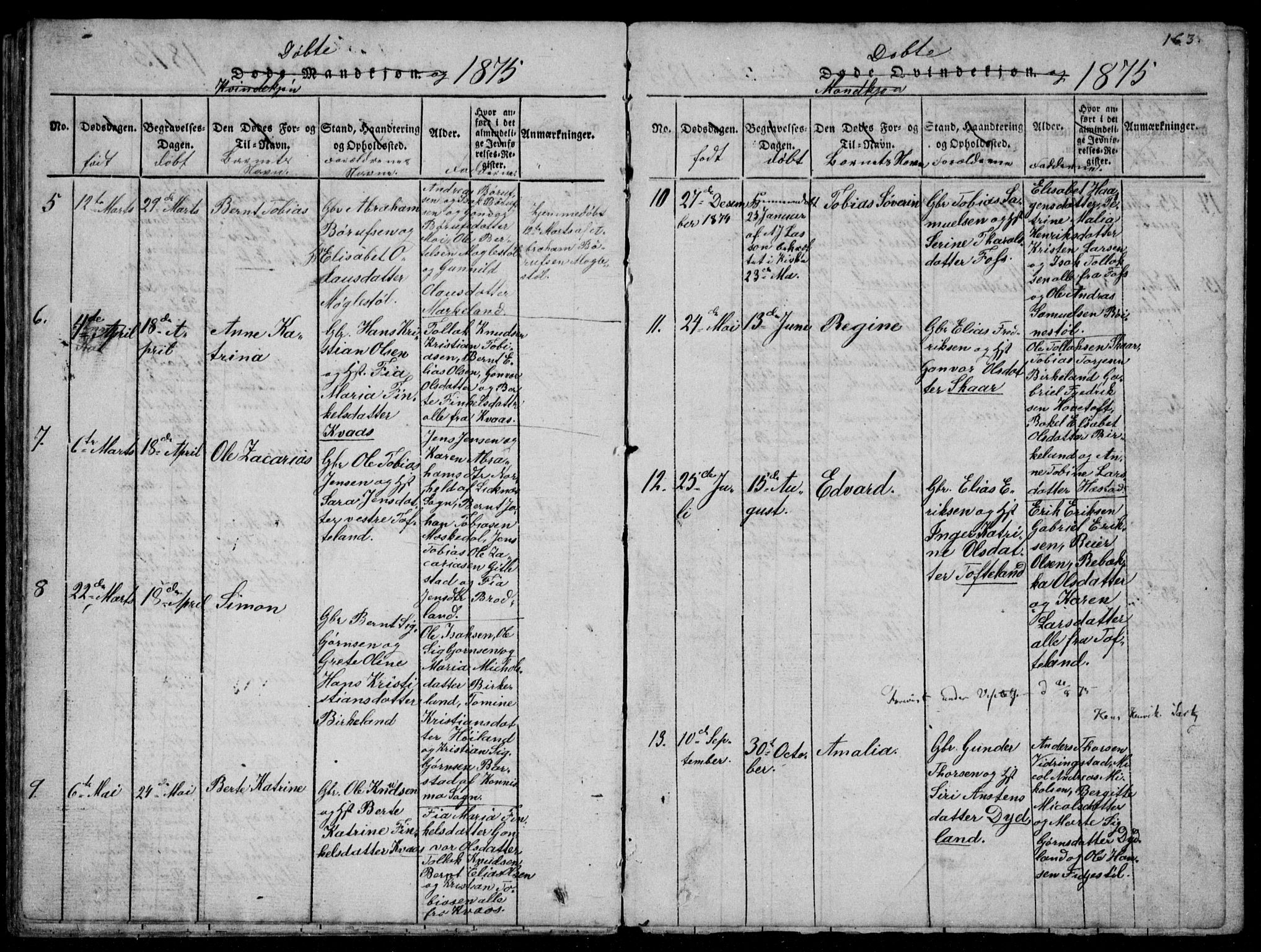 Lyngdal sokneprestkontor, SAK/1111-0029/F/Fb/Fbb/L0001: Parish register (copy) no. B 1, 1816-1900, p. 163