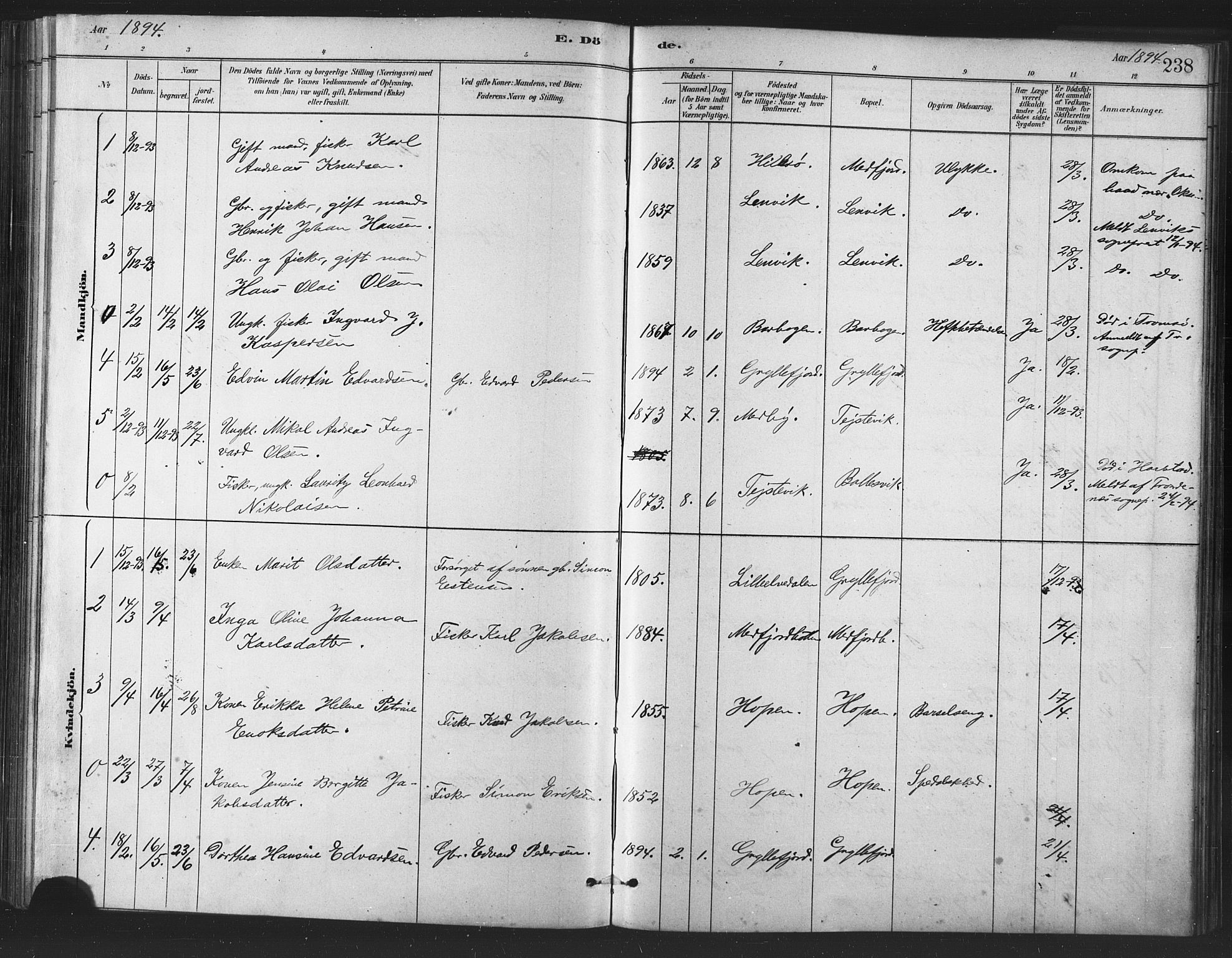 Berg sokneprestkontor, SATØ/S-1318/G/Ga/Gaa/L0004kirke: Parish register (official) no. 4, 1880-1894, p. 238