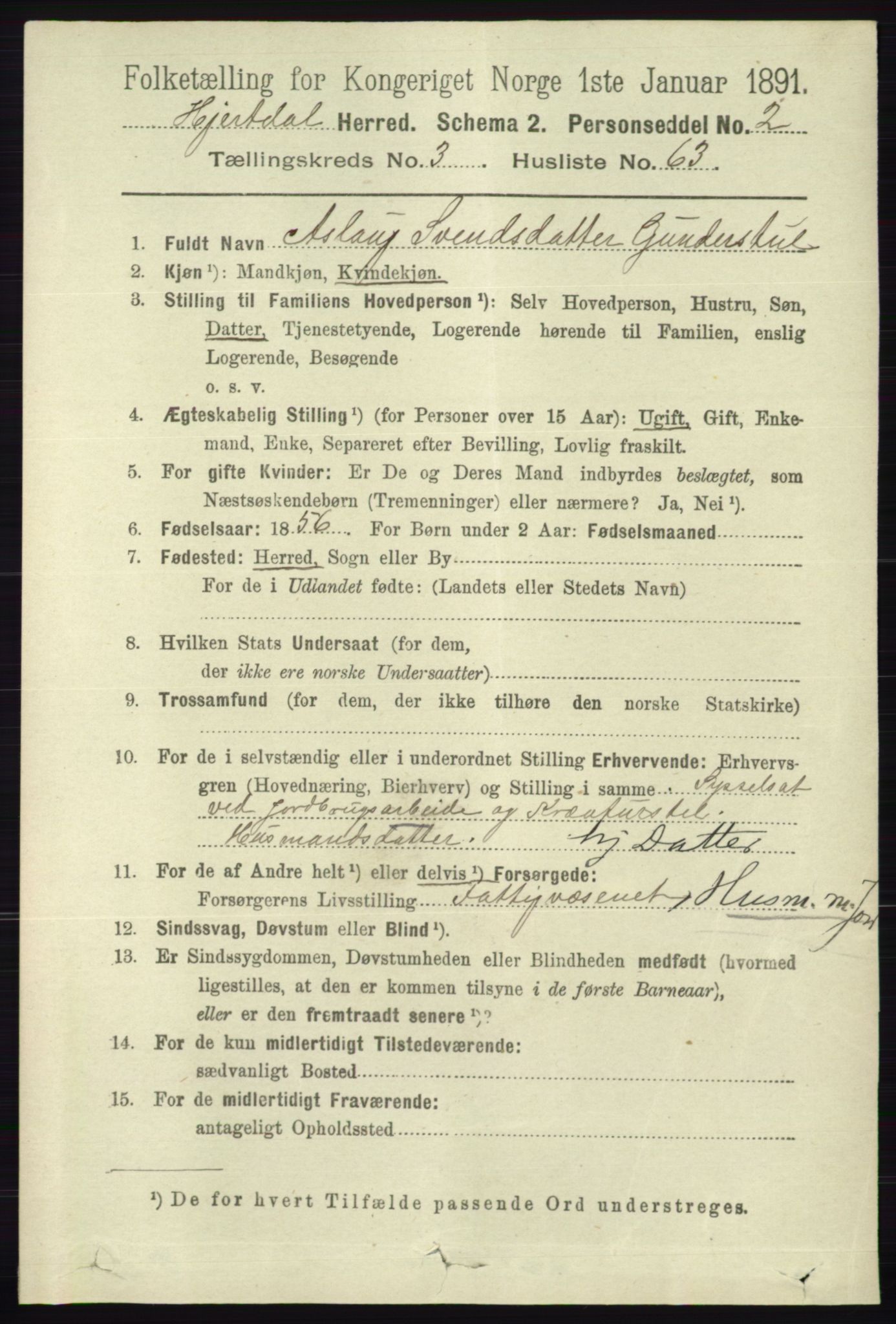 RA, 1891 census for 0827 Hjartdal, 1891, p. 1328