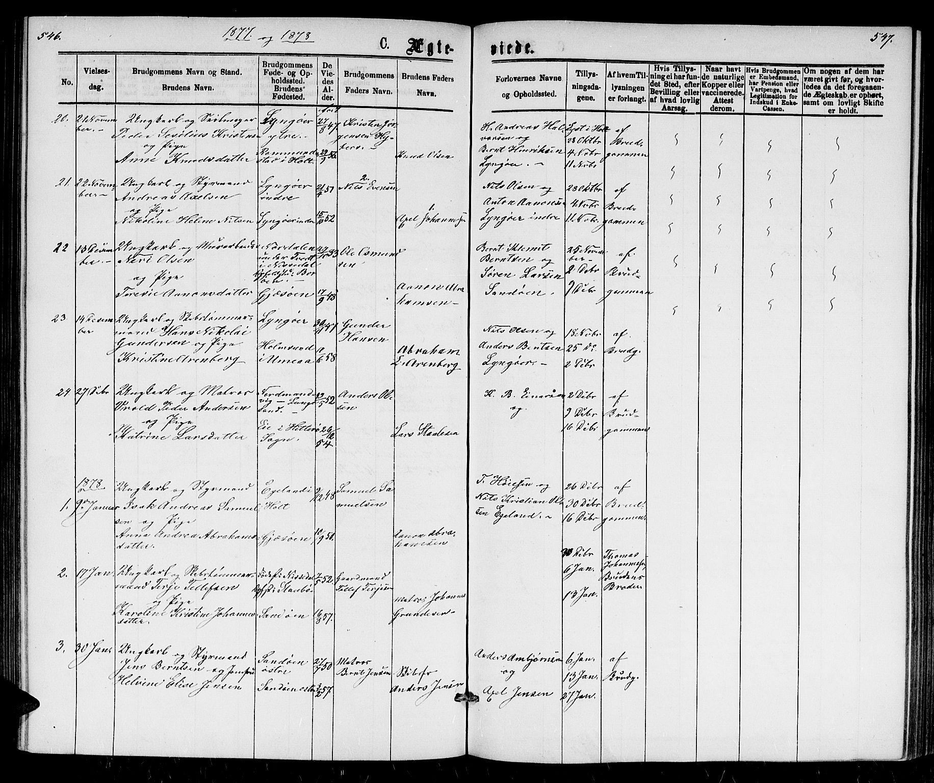 Dypvåg sokneprestkontor, AV/SAK-1111-0007/F/Fb/Fba/L0012: Parish register (copy) no. B 12, 1872-1886, p. 546-547