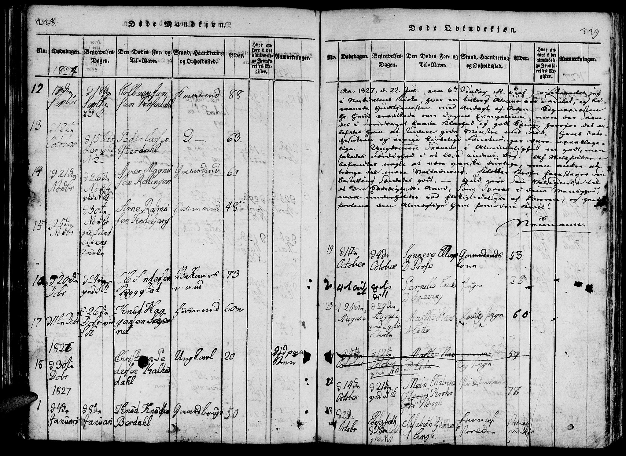 Ministerialprotokoller, klokkerbøker og fødselsregistre - Møre og Romsdal, AV/SAT-A-1454/519/L0260: Parish register (copy) no. 519C01, 1817-1829, p. 228-229