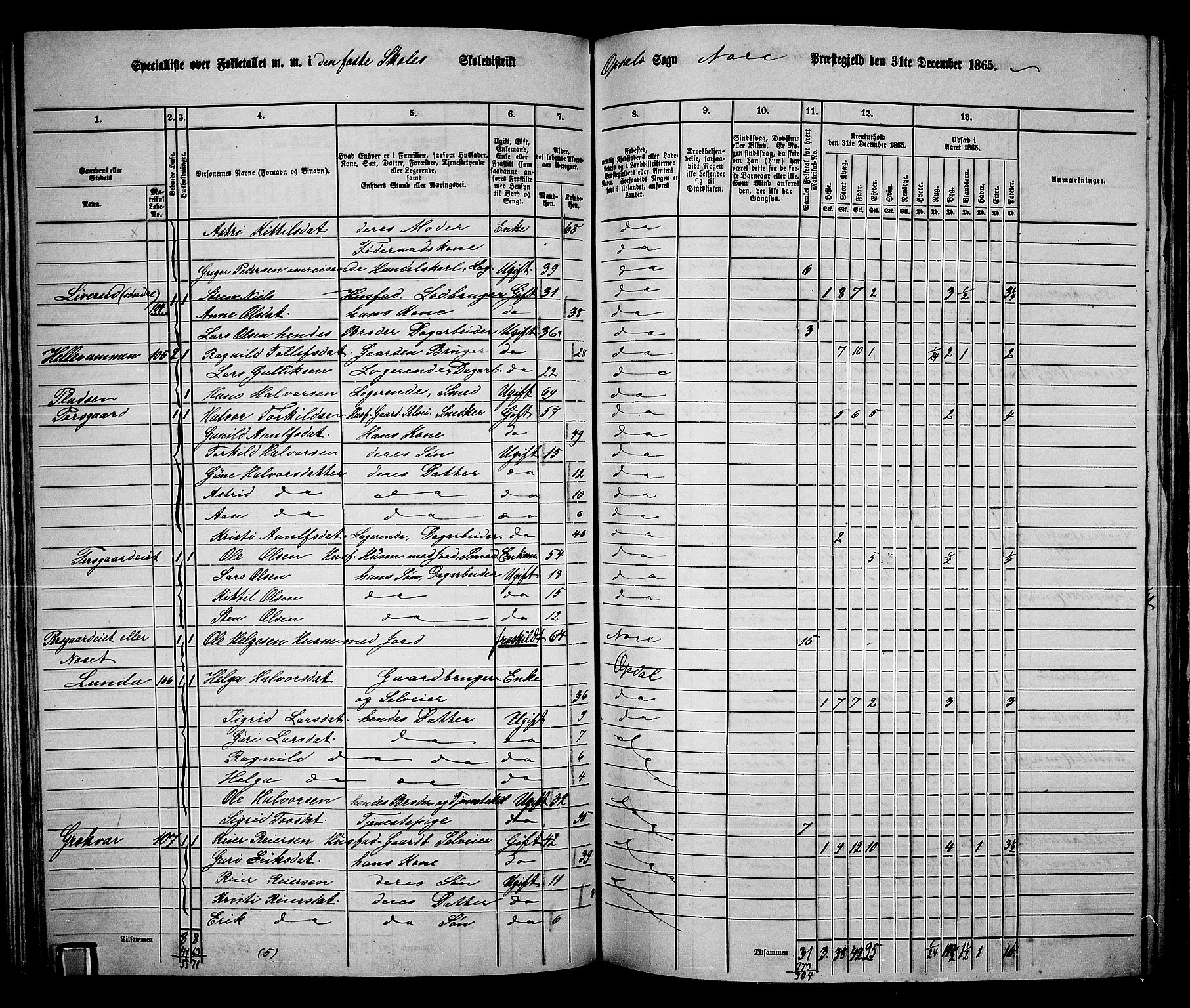 RA, 1865 census for Nore, 1865, p. 94