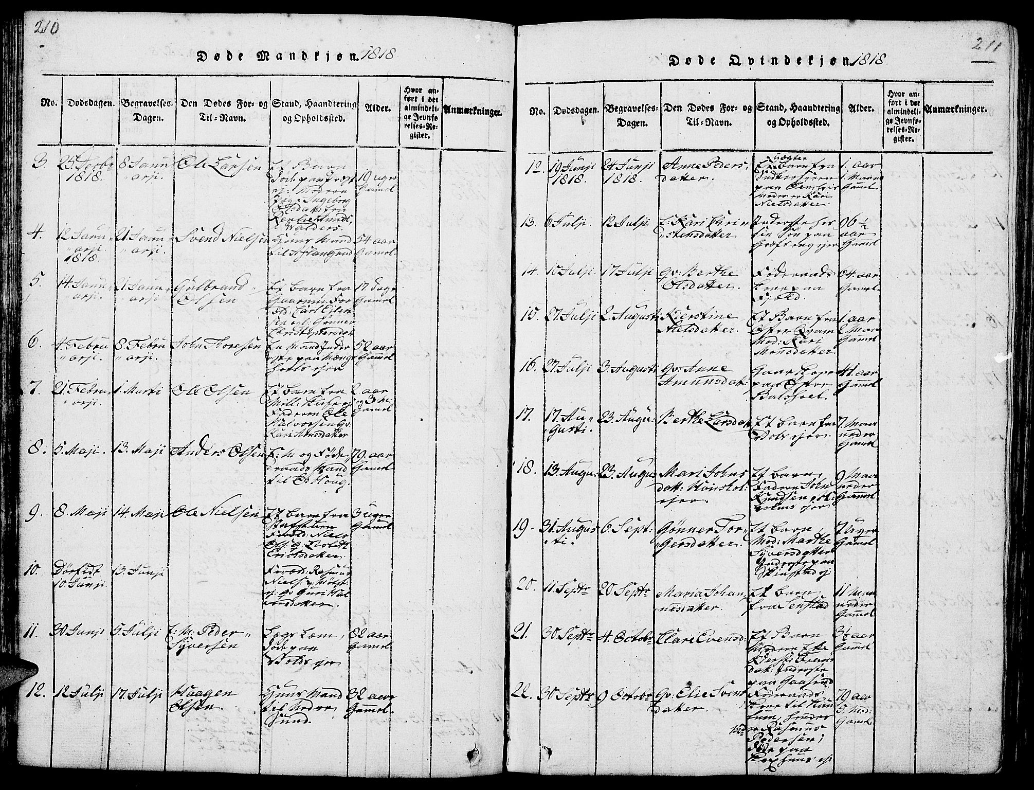 Nes prestekontor, Hedmark, AV/SAH-PREST-020/L/La/L0003: Parish register (copy) no. 3, 1814-1831, p. 210-211