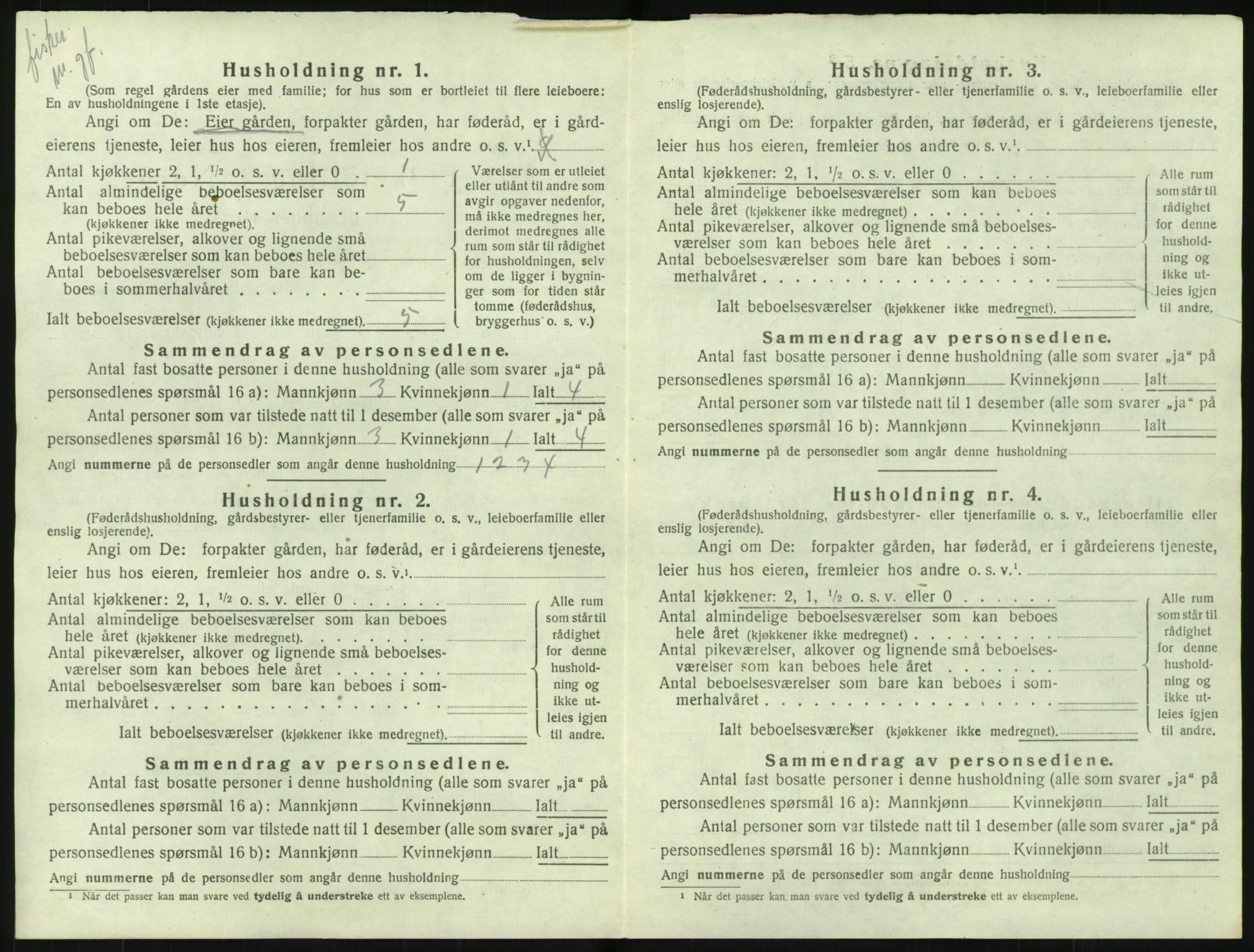 SAK, 1920 census for Nes (V-A), 1920, p. 1033