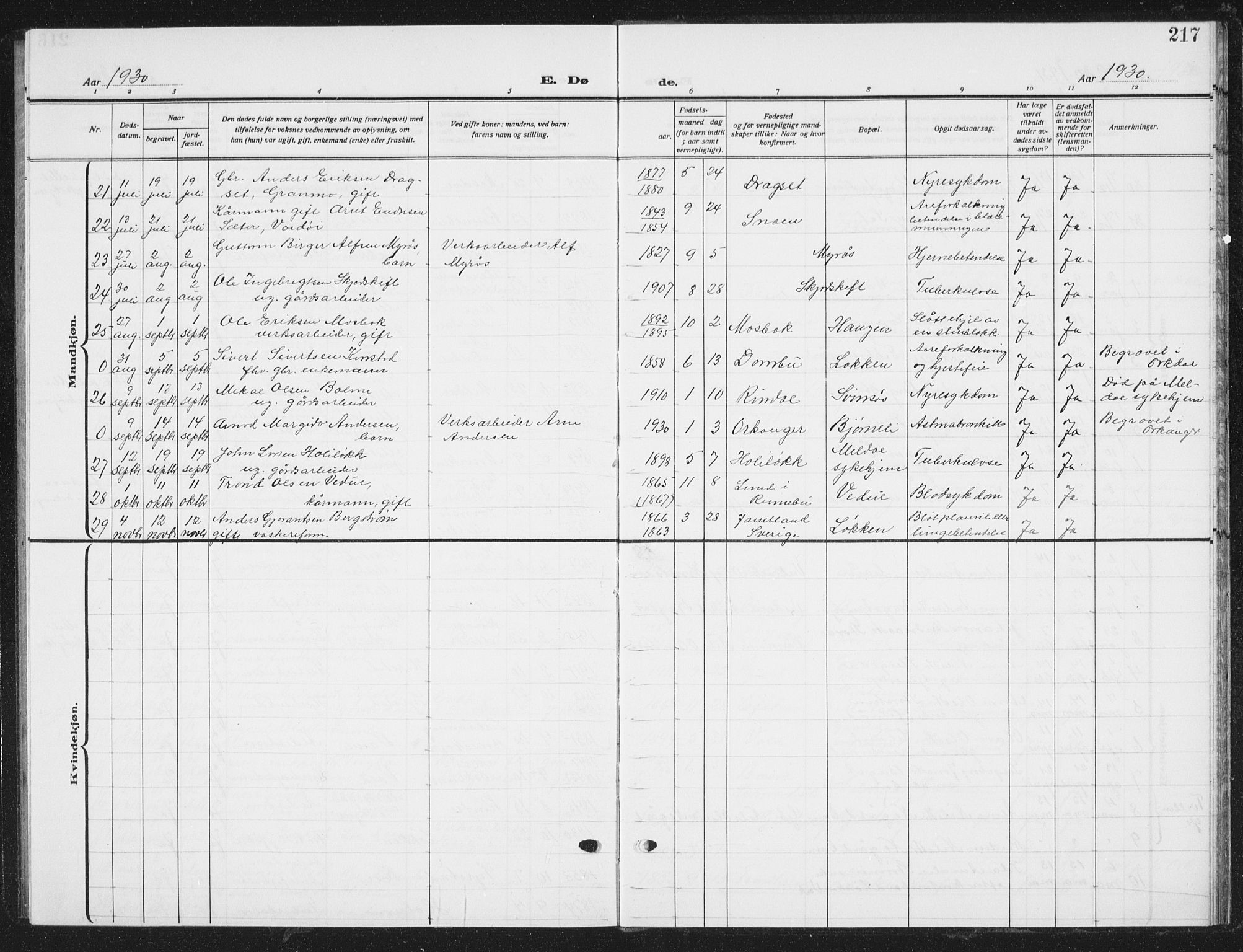 Ministerialprotokoller, klokkerbøker og fødselsregistre - Sør-Trøndelag, SAT/A-1456/672/L0866: Parish register (copy) no. 672C05, 1929-1939, p. 217
