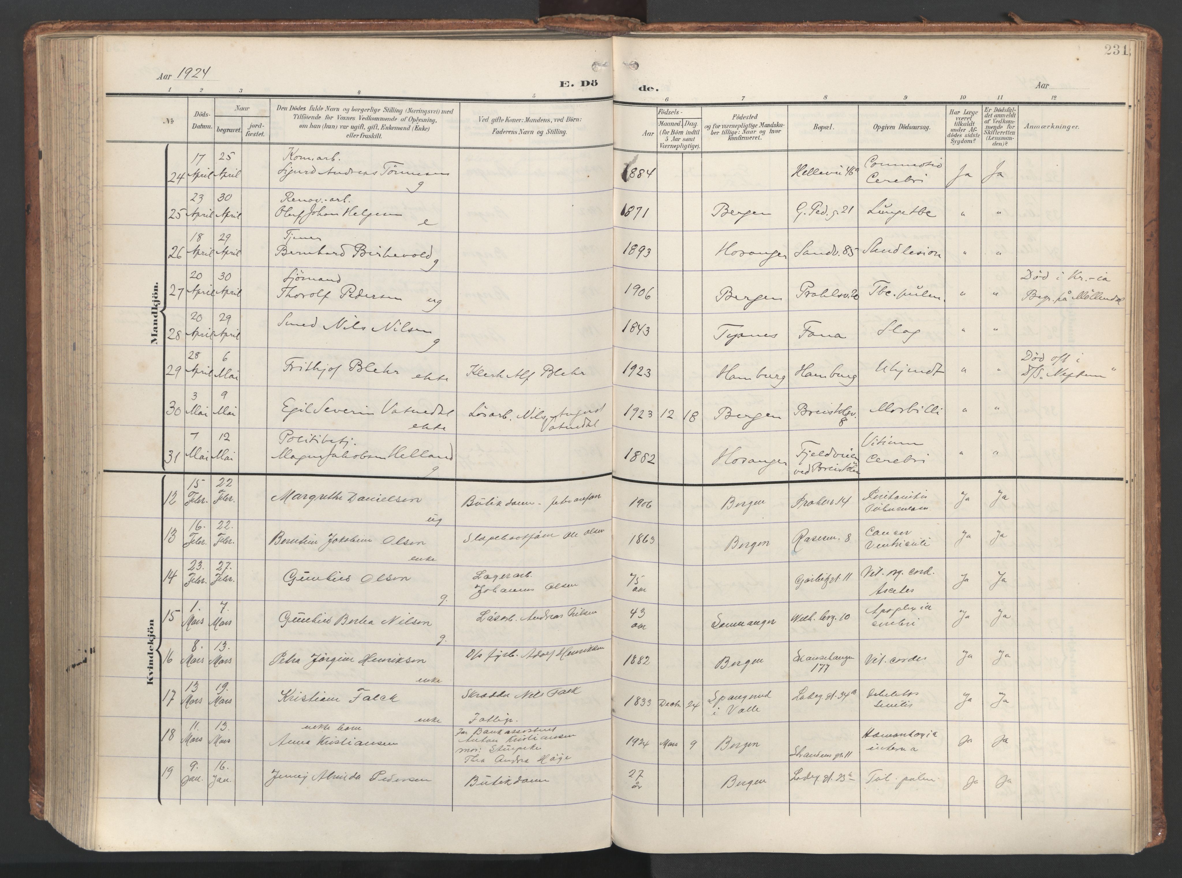 Sandviken Sokneprestembete, AV/SAB-A-77601/H/Ha/L0019: Parish register (official) no. E 2, 1905-1933, p. 231