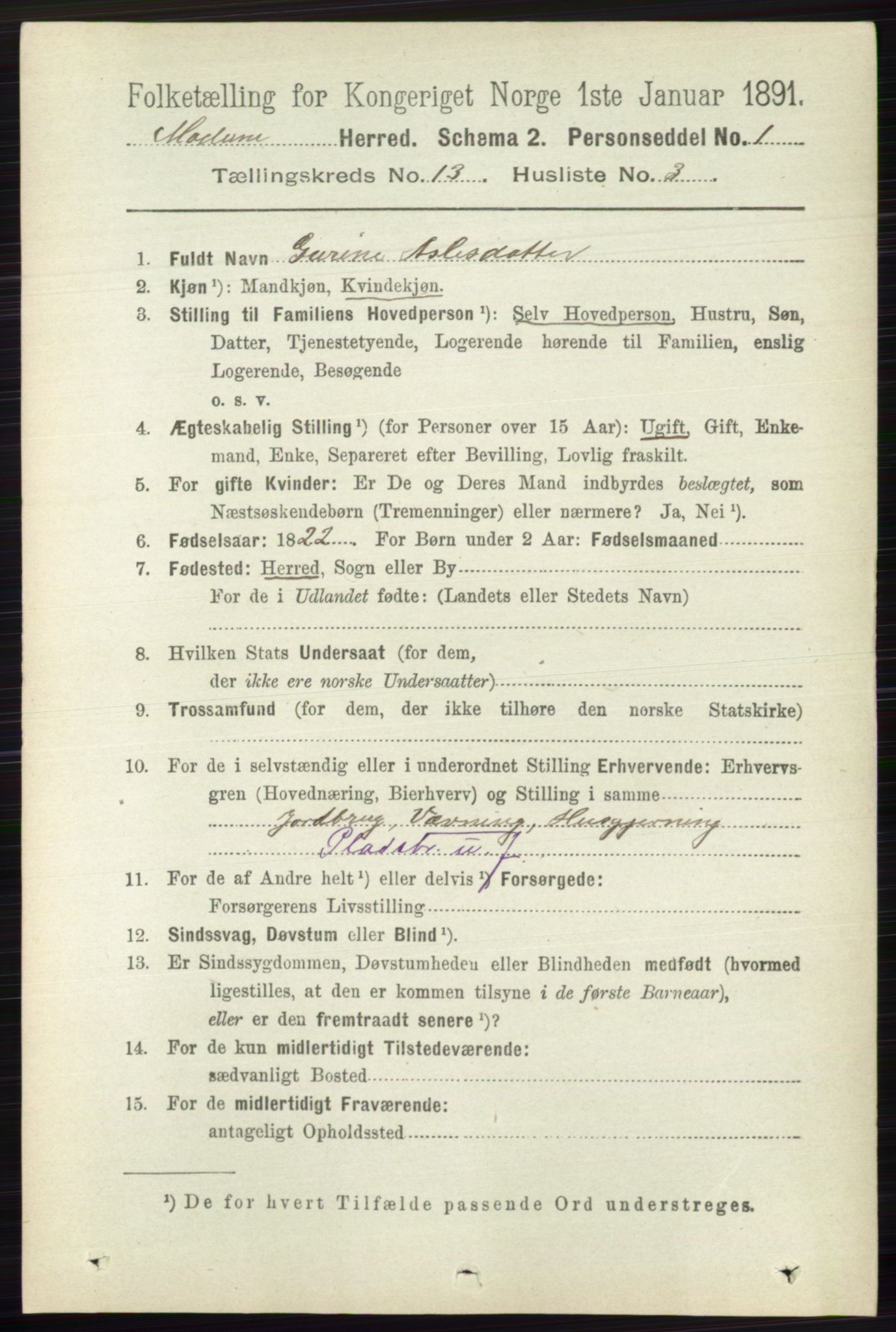 RA, 1891 census for 0623 Modum, 1891, p. 4958