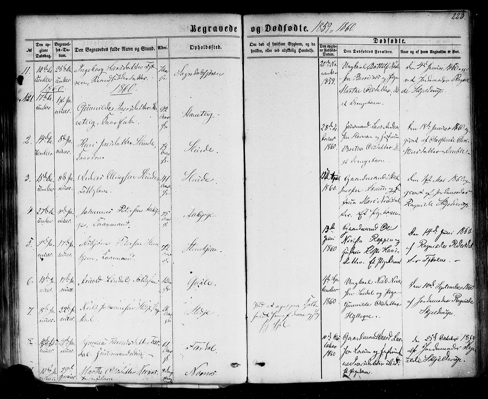 Sogndal sokneprestembete, SAB/A-81301/H/Haa/Haaa/L0013: Parish register (official) no. A 13, 1859-1877, p. 223