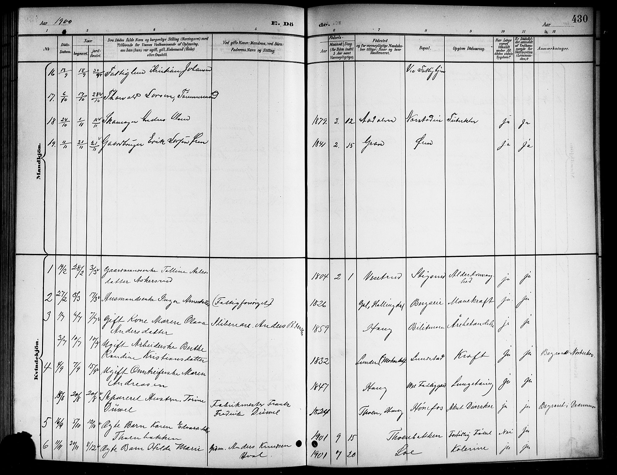 Norderhov kirkebøker, AV/SAKO-A-237/G/Gb/L0002: Parish register (copy) no. II 2, 1891-1921, p. 430