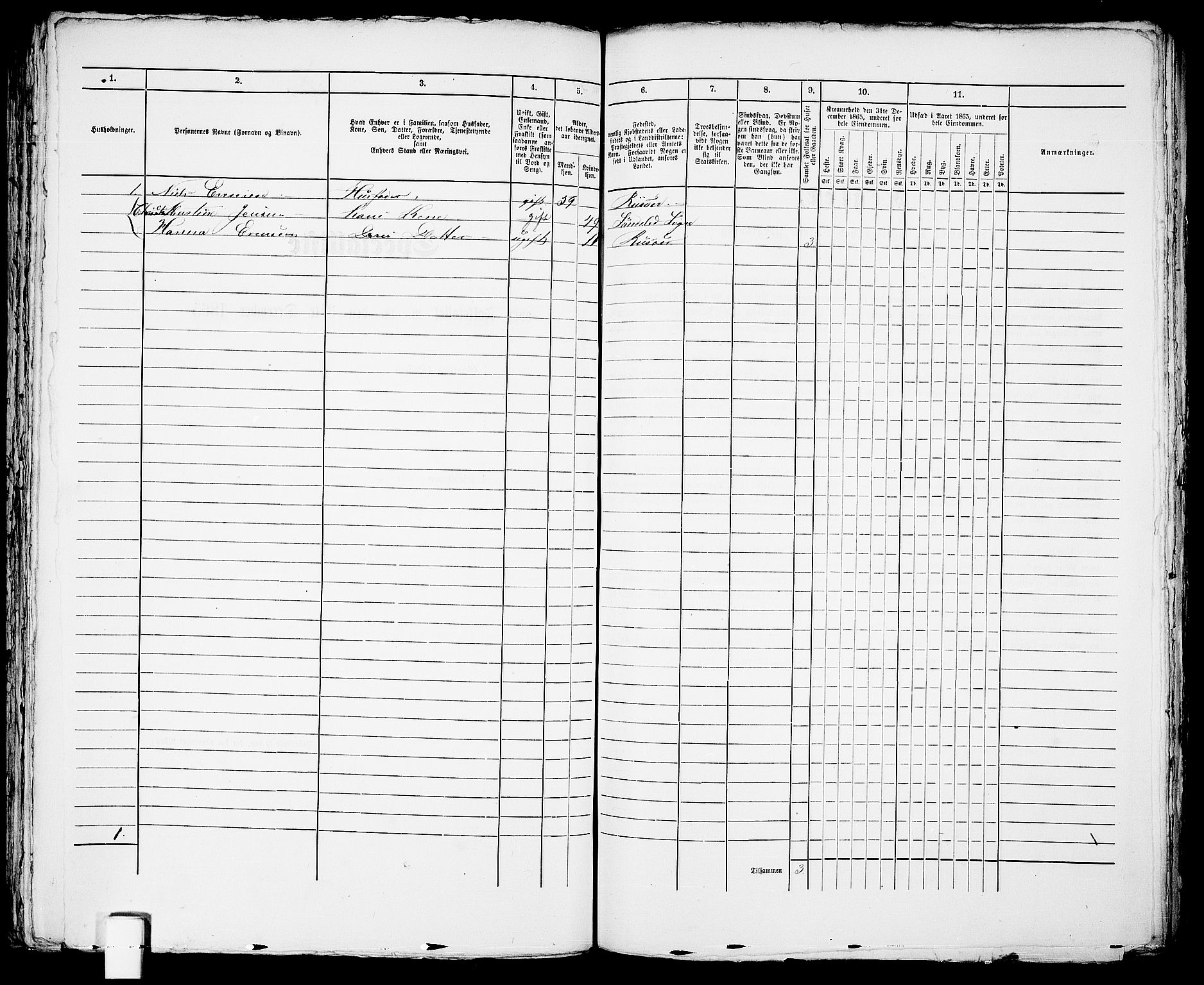 RA, 1865 census for Risør/Risør, 1865, p. 528