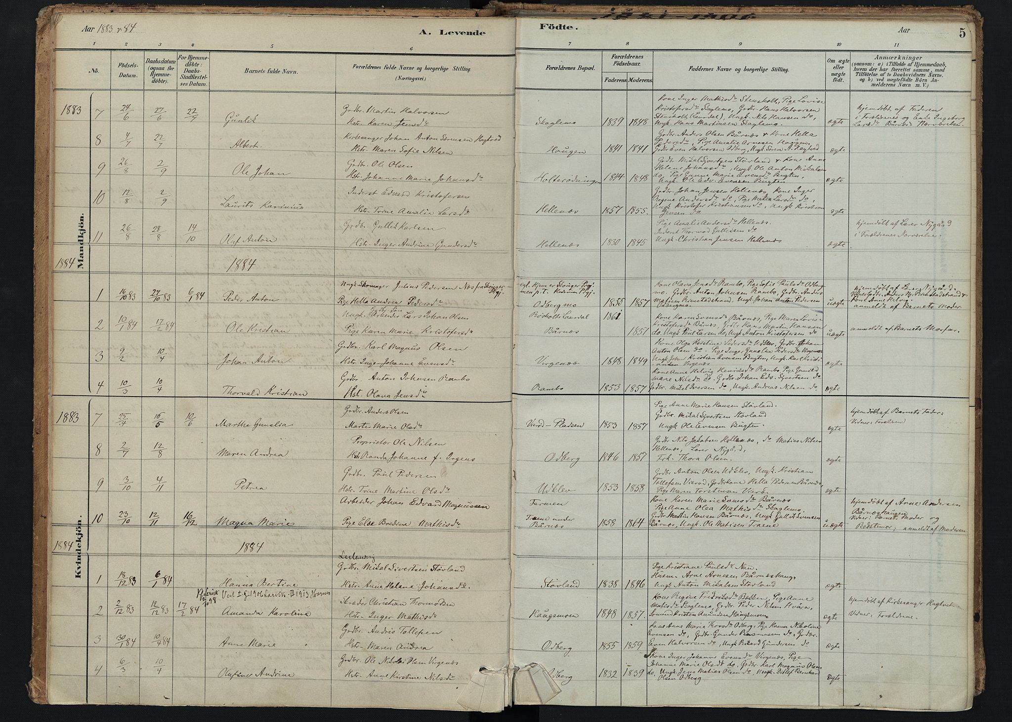 Hedrum kirkebøker, SAKO/A-344/F/Fc/L0001: Parish register (official) no. III 1, 1881-1906, p. 5