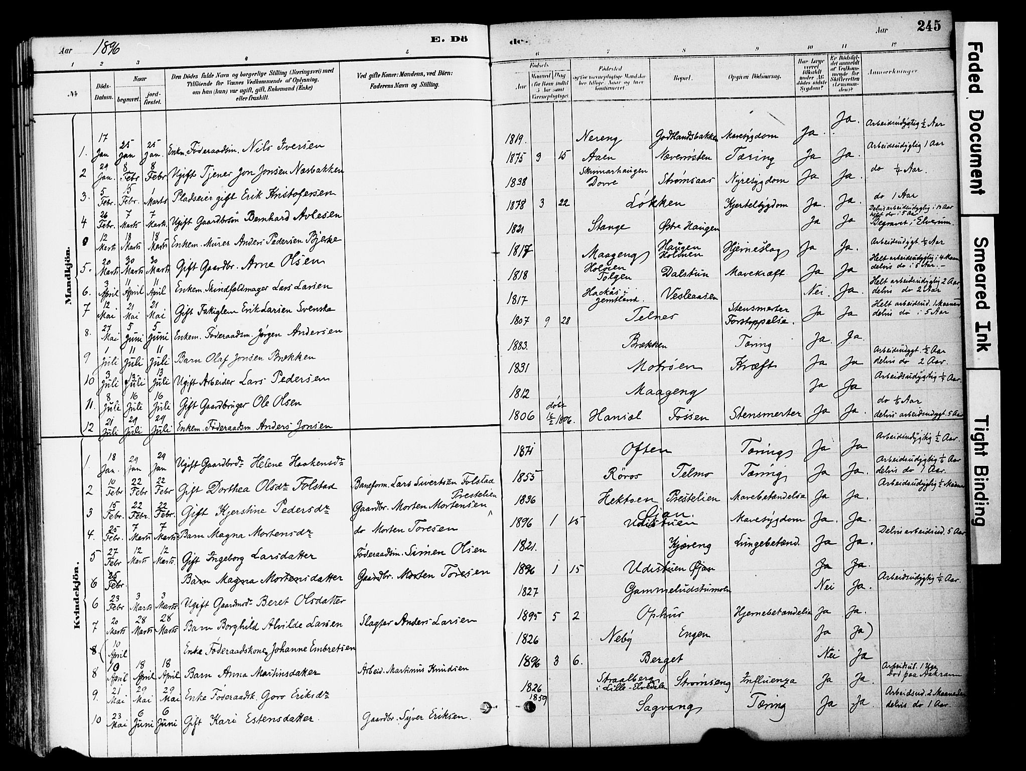 Tynset prestekontor, SAH/PREST-058/H/Ha/Haa/L0022: Parish register (official) no. 22, 1880-1899, p. 245