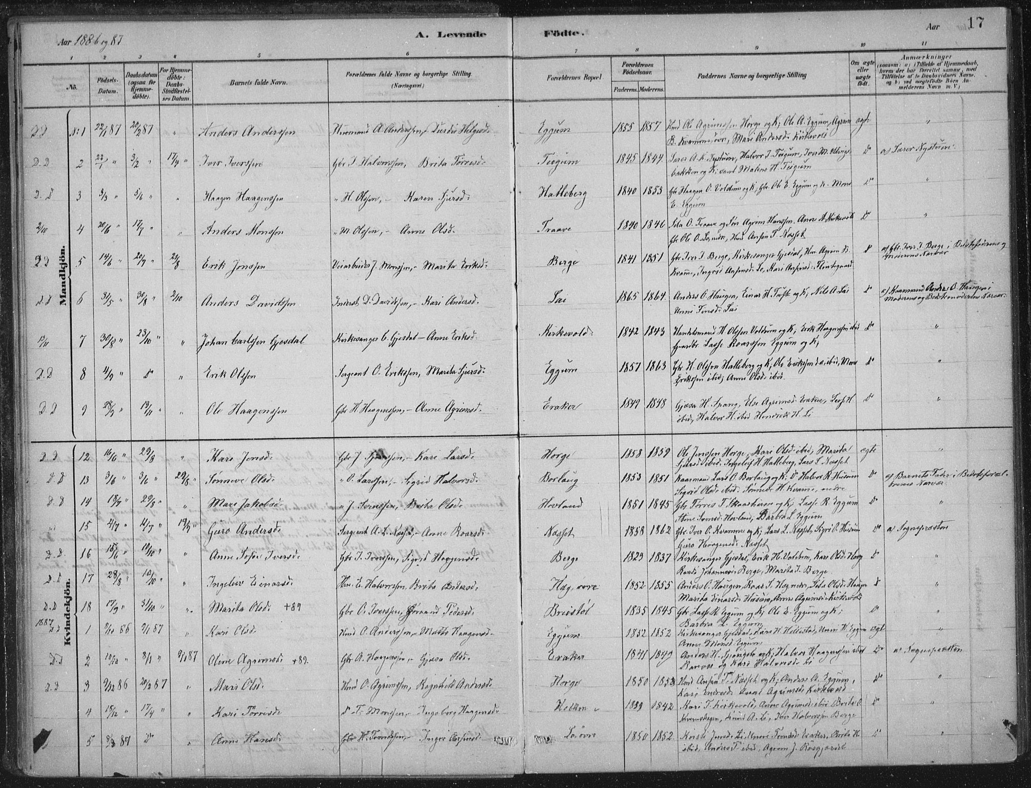 Lærdal sokneprestembete, AV/SAB-A-81201: Parish register (official) no. C  1, 1878-1911, p. 17