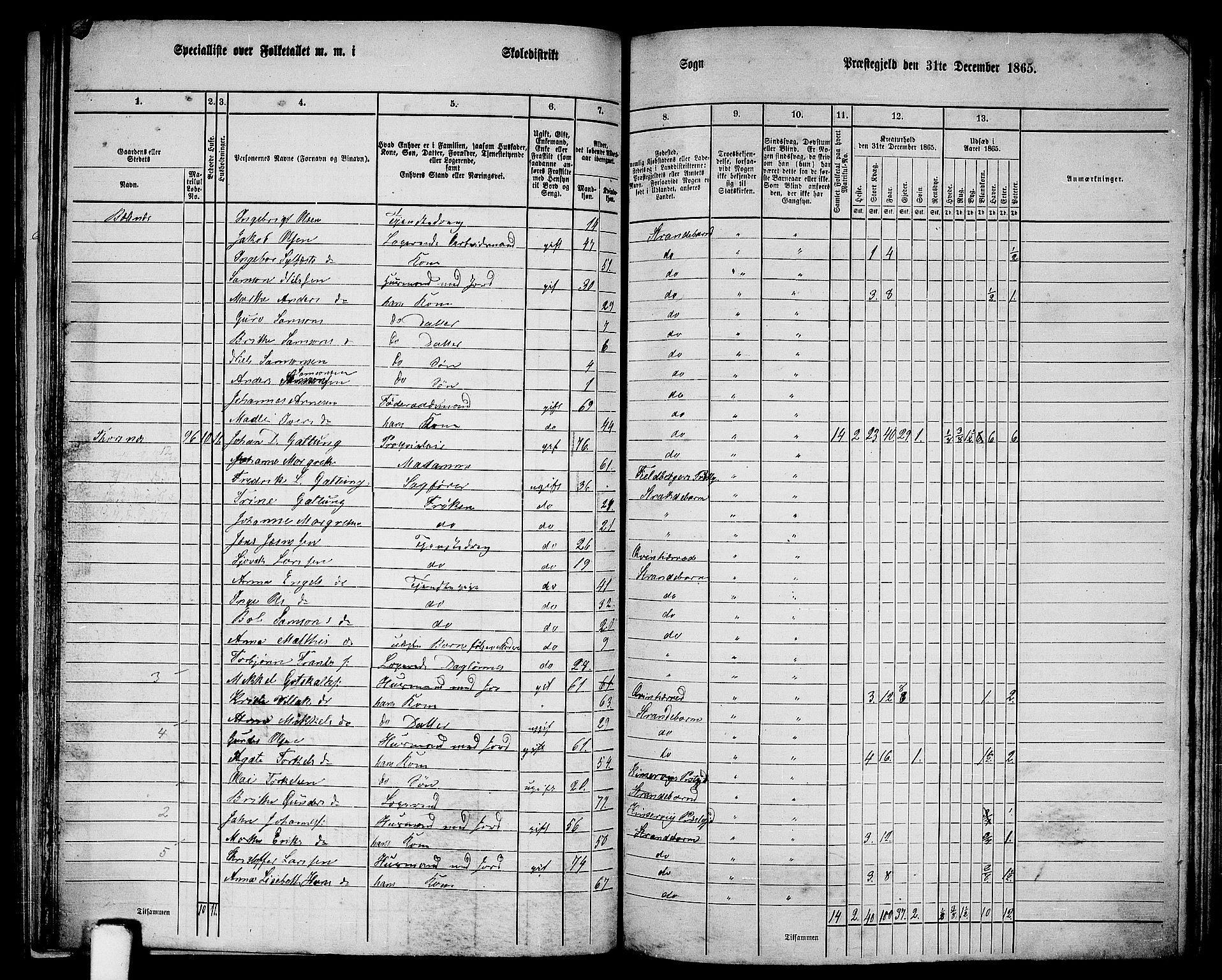 RA, 1865 census for Strandebarm, 1865, p. 135