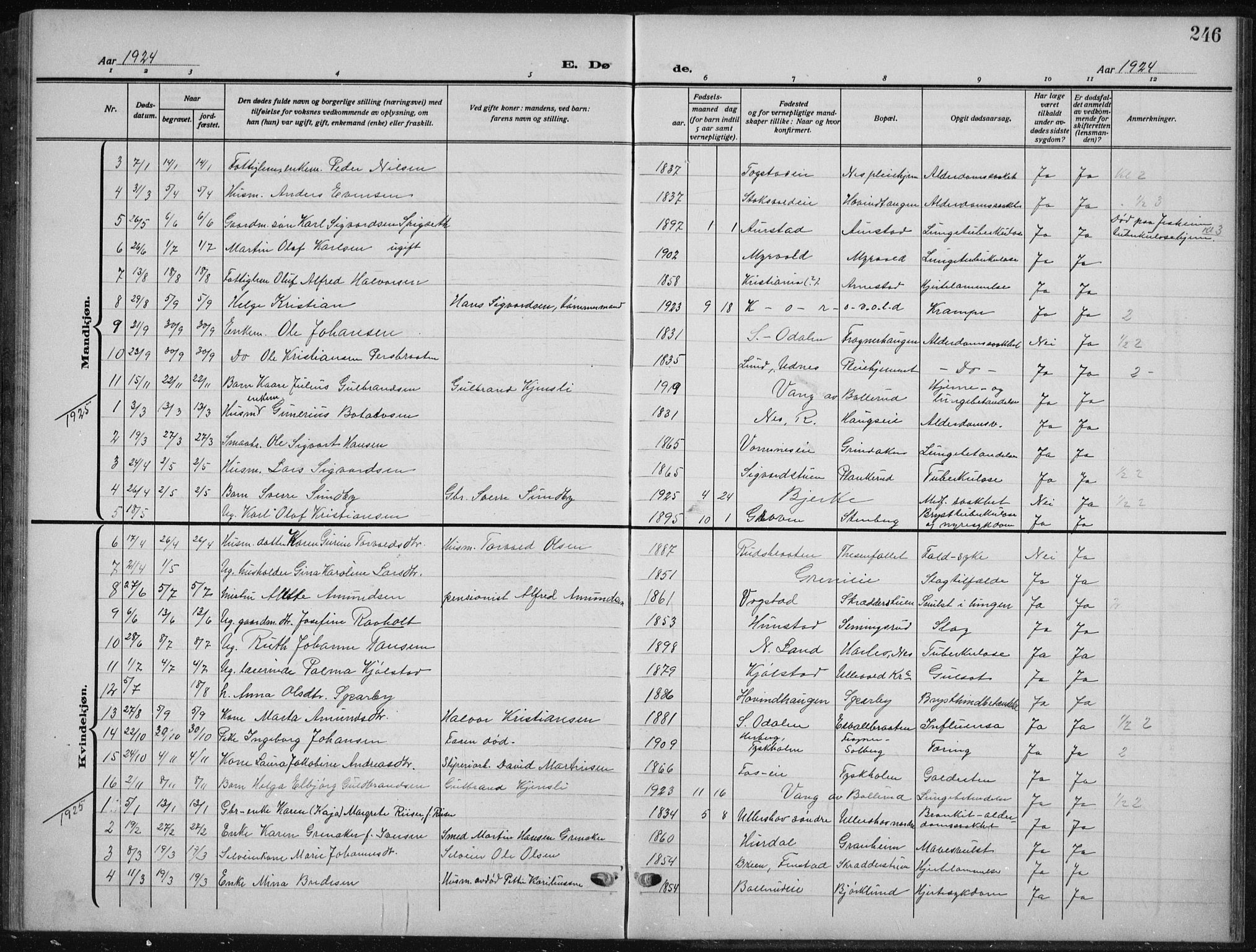 Nes prestekontor Kirkebøker, SAO/A-10410/G/Ga/L0003: Parish register (copy) no. I 3, 1913-1941, p. 246