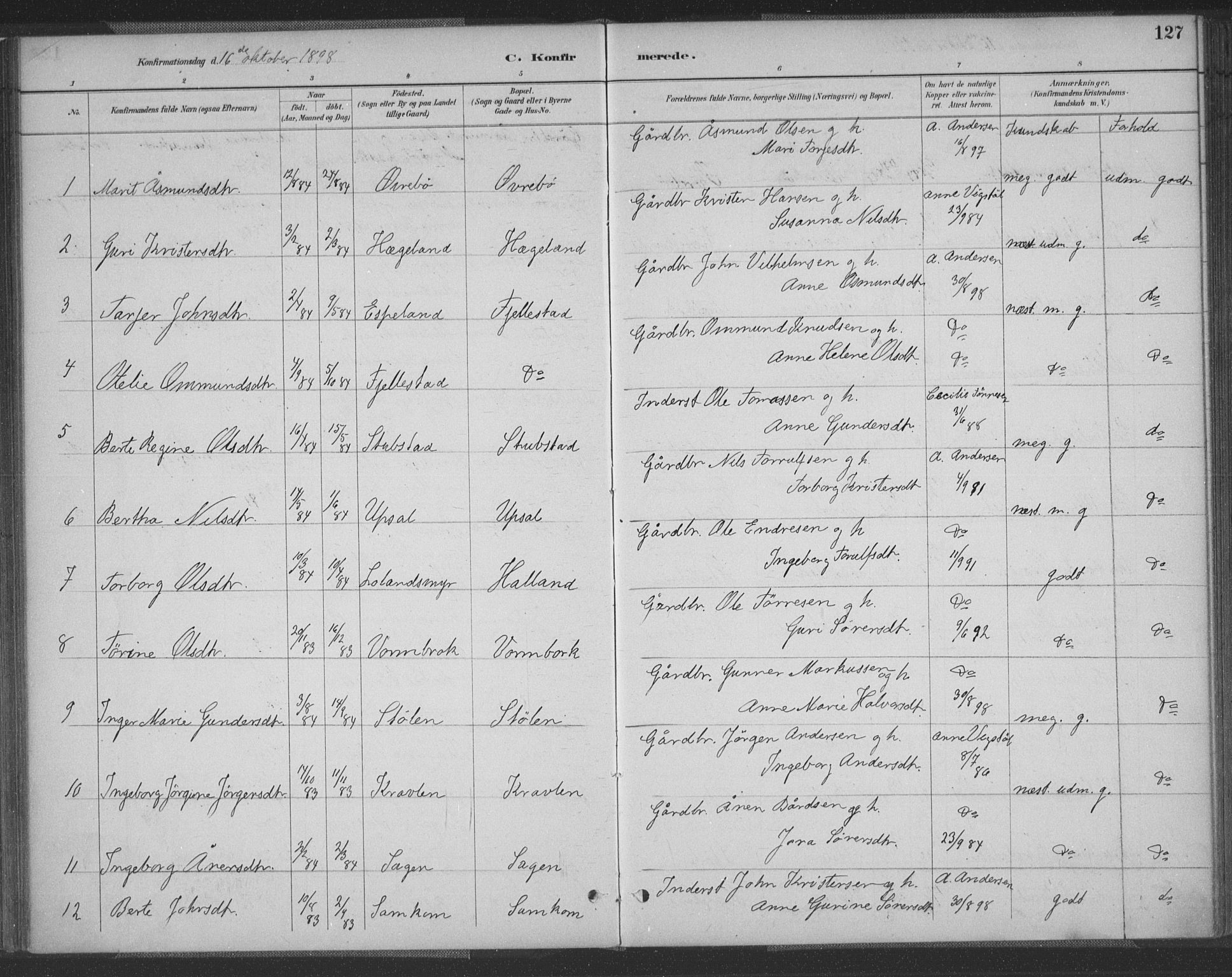 Vennesla sokneprestkontor, SAK/1111-0045/Fa/Fac/L0009: Parish register (official) no. A 9, 1884-1901, p. 127