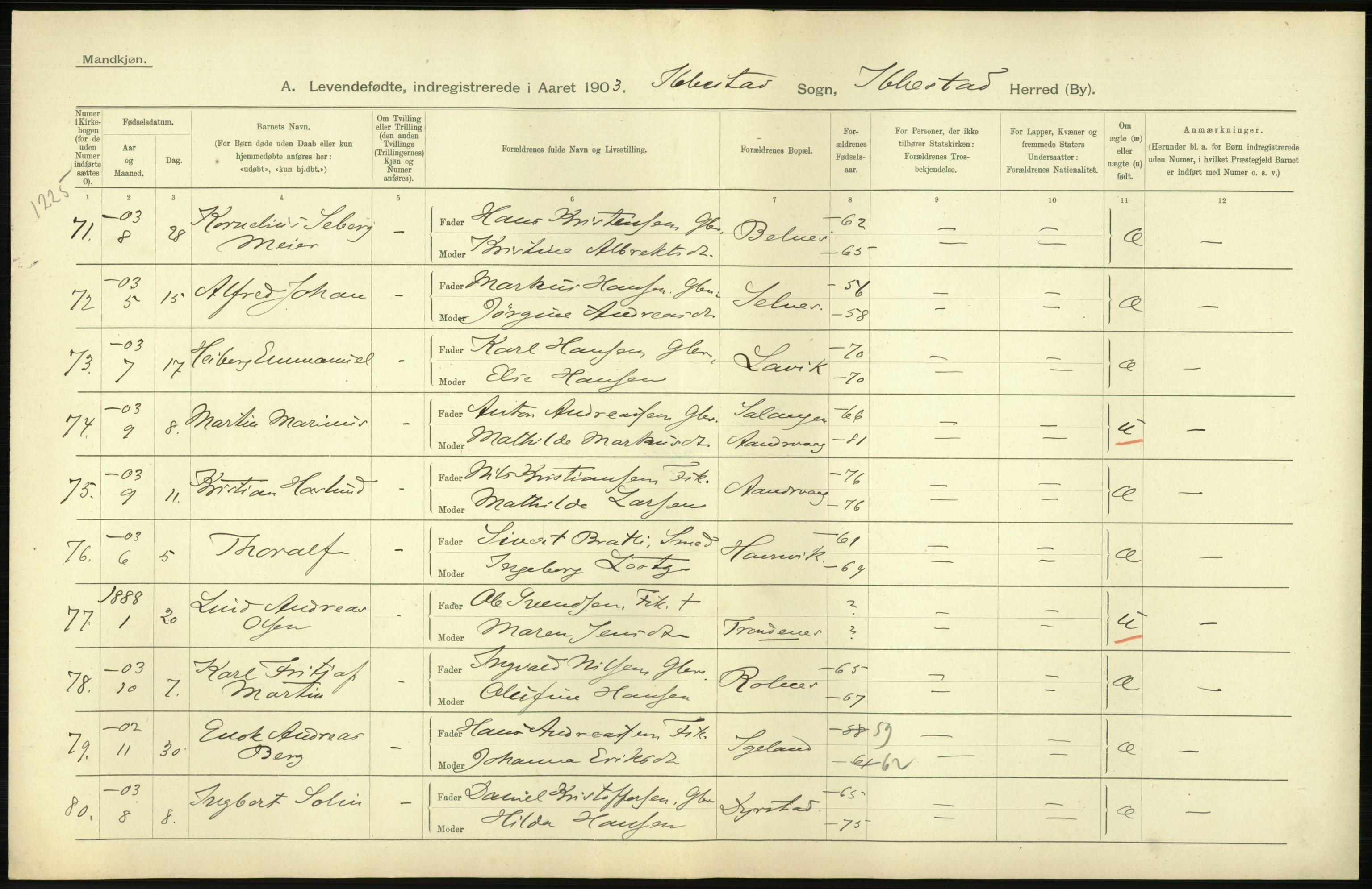 Statistisk sentralbyrå, Sosiodemografiske emner, Befolkning, AV/RA-S-2228/D/Df/Dfa/Dfaa/L0021: Tromsø amt: Fødte, gifte, døde., 1903, p. 38