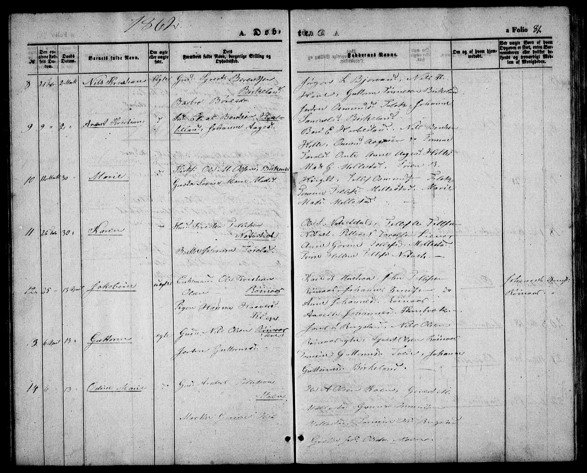 Birkenes sokneprestkontor, AV/SAK-1111-0004/F/Fb/L0002: Parish register (copy) no. B 2, 1849-1876, p. 81