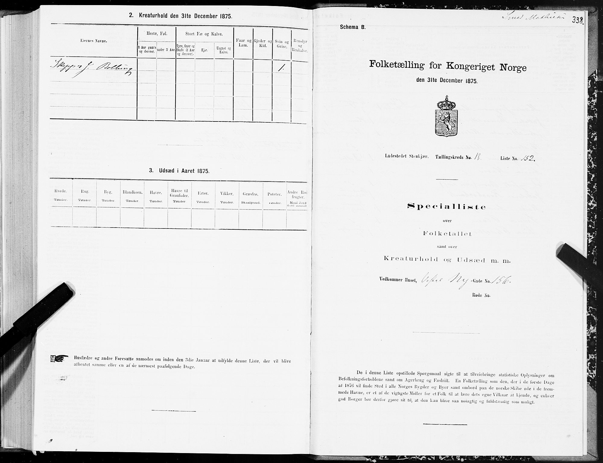 SAT, 1875 census for 1702B Steinkjer/Steinkjer, 1875, p. 338