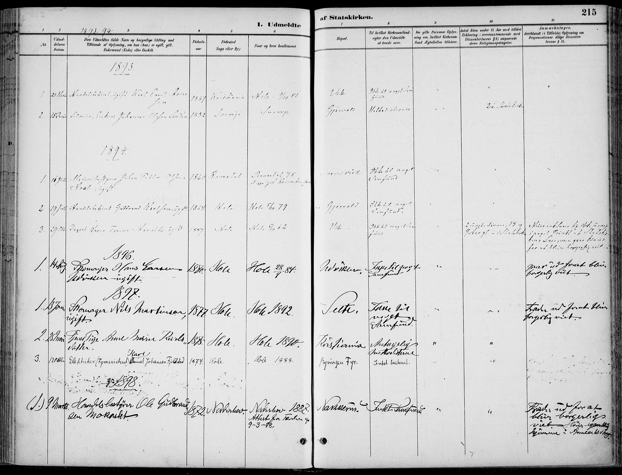 Hole kirkebøker, AV/SAKO-A-228/F/Fa/L0009: Parish register (official) no. I 9, 1892-1907, p. 215