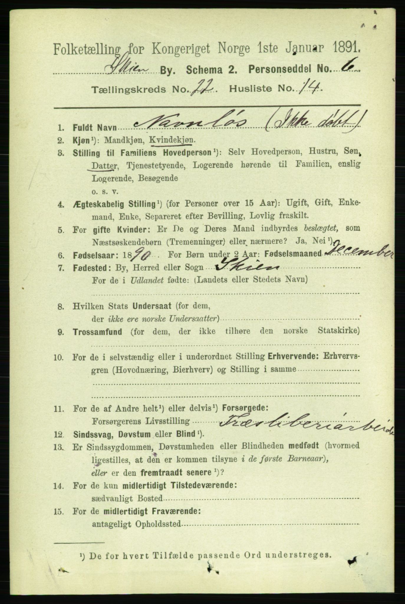 RA, 1891 census for 0806 Skien, 1891, p. 5812