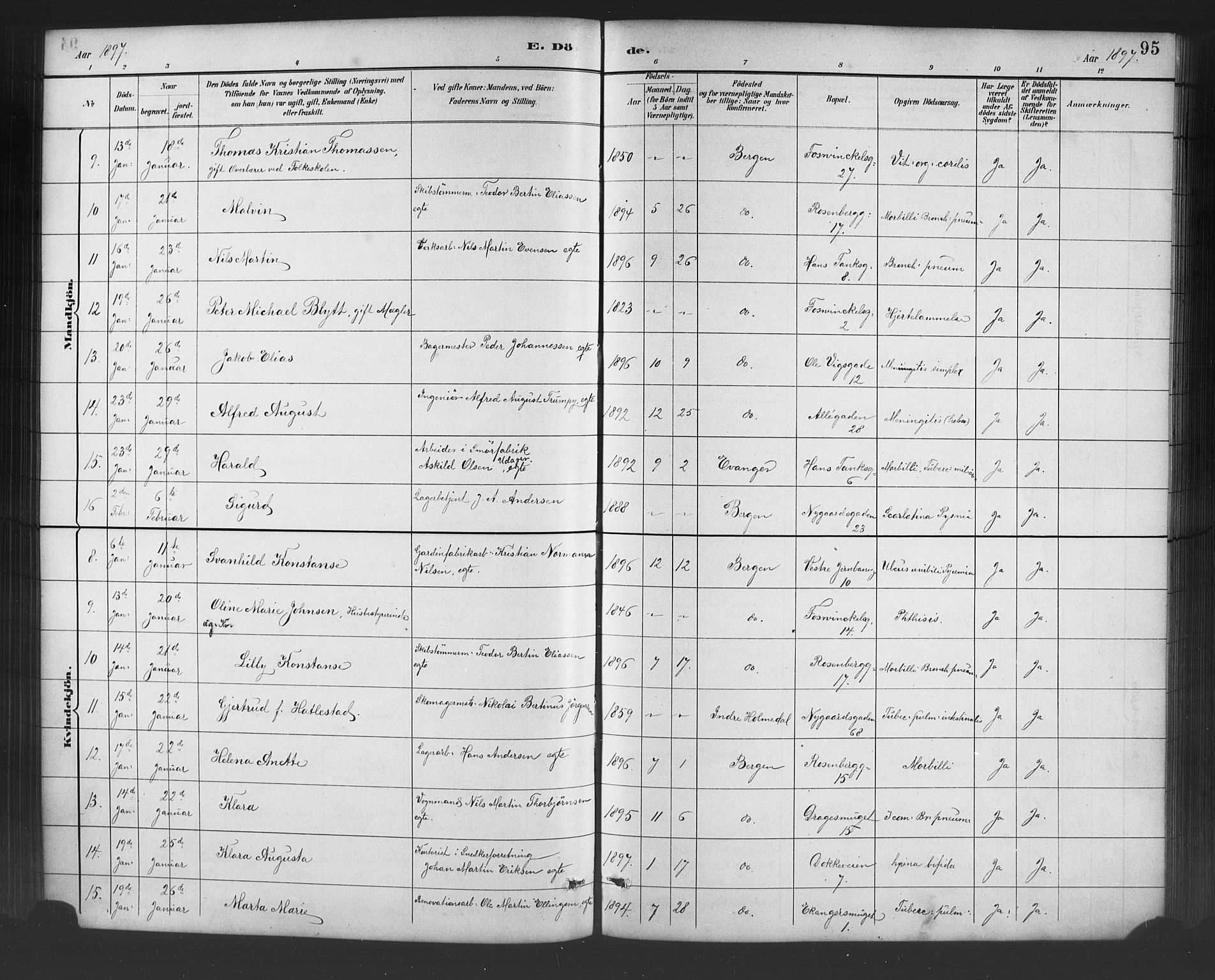Johanneskirken sokneprestembete, SAB/A-76001/H/Hab: Parish register (copy) no. D 1, 1885-1915, p. 95