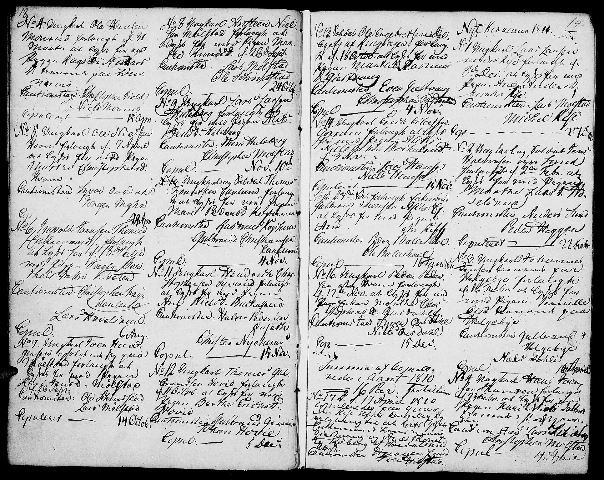 Nes prestekontor, Hedmark, SAH/PREST-020/K/Ka/L0001: Parish register (official) no. 1, 1802-1814, p. 18-19