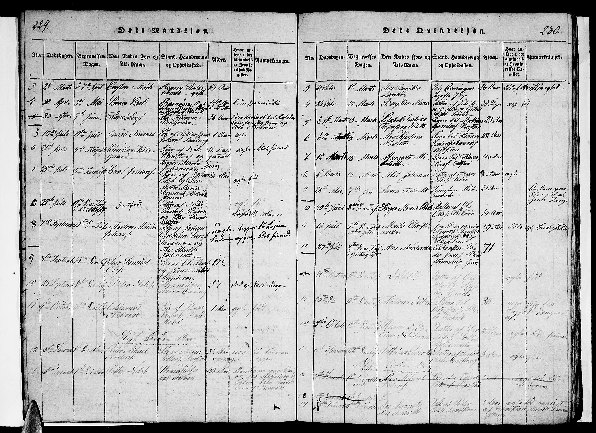 Ministerialprotokoller, klokkerbøker og fødselsregistre - Nordland, AV/SAT-A-1459/834/L0510: Parish register (copy) no. 834C01, 1820-1847, p. 229-230