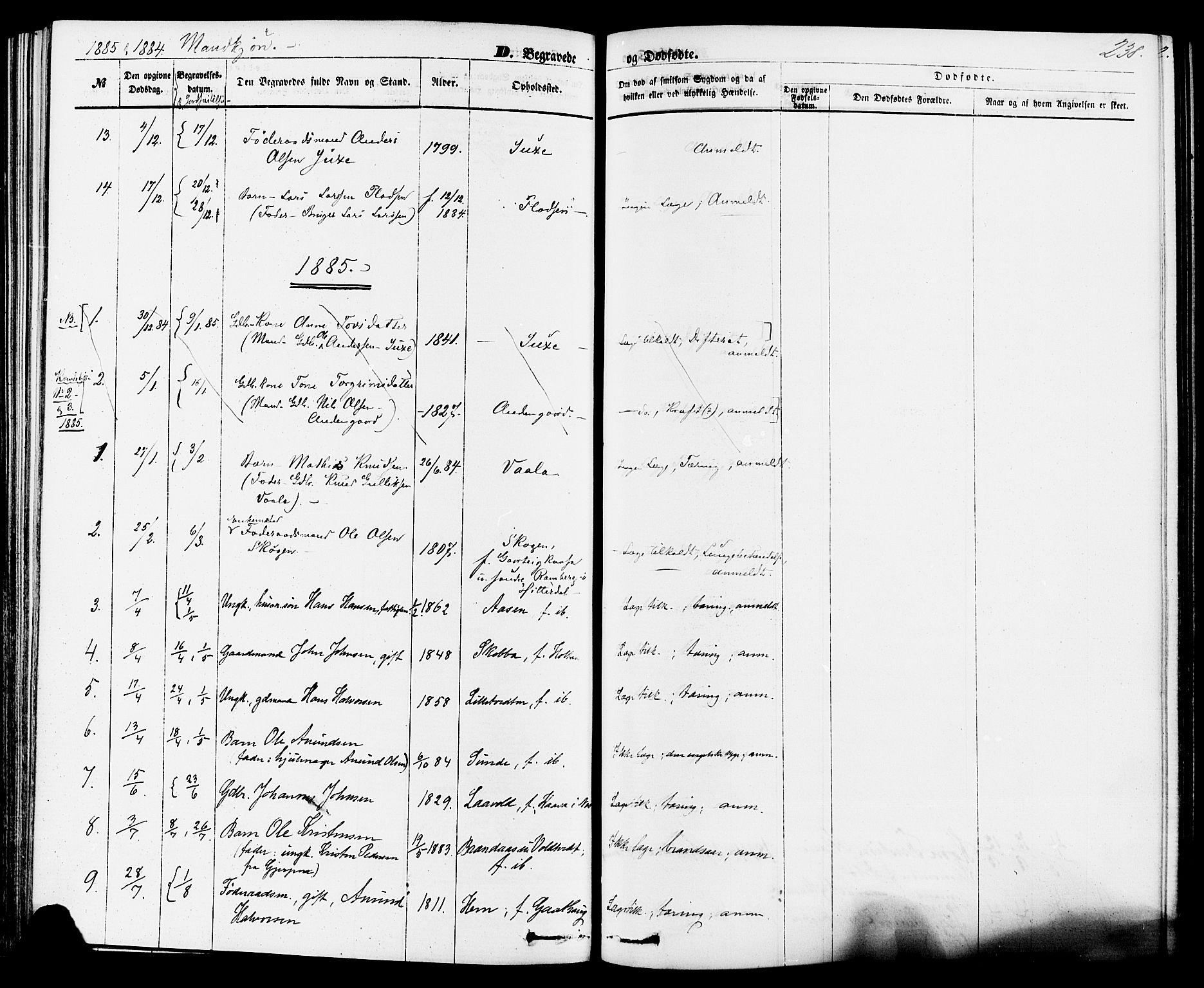 Sauherad kirkebøker, SAKO/A-298/F/Fa/L0008: Parish register (official) no. I 8, 1873-1886, p. 238