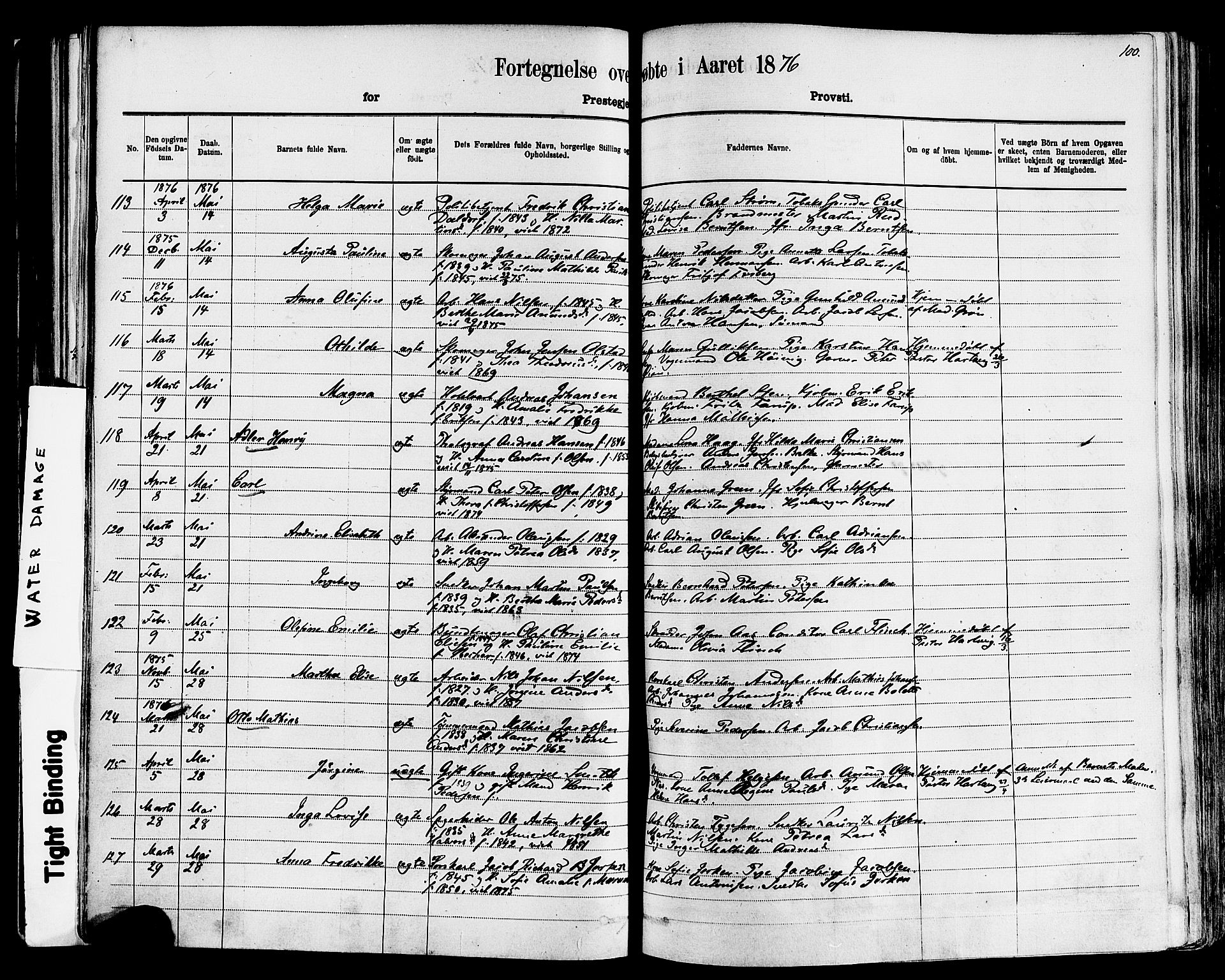 Larvik kirkebøker, SAKO/A-352/F/Fa/L0006: Parish register (official) no. I 6, 1871-1883, p. 100