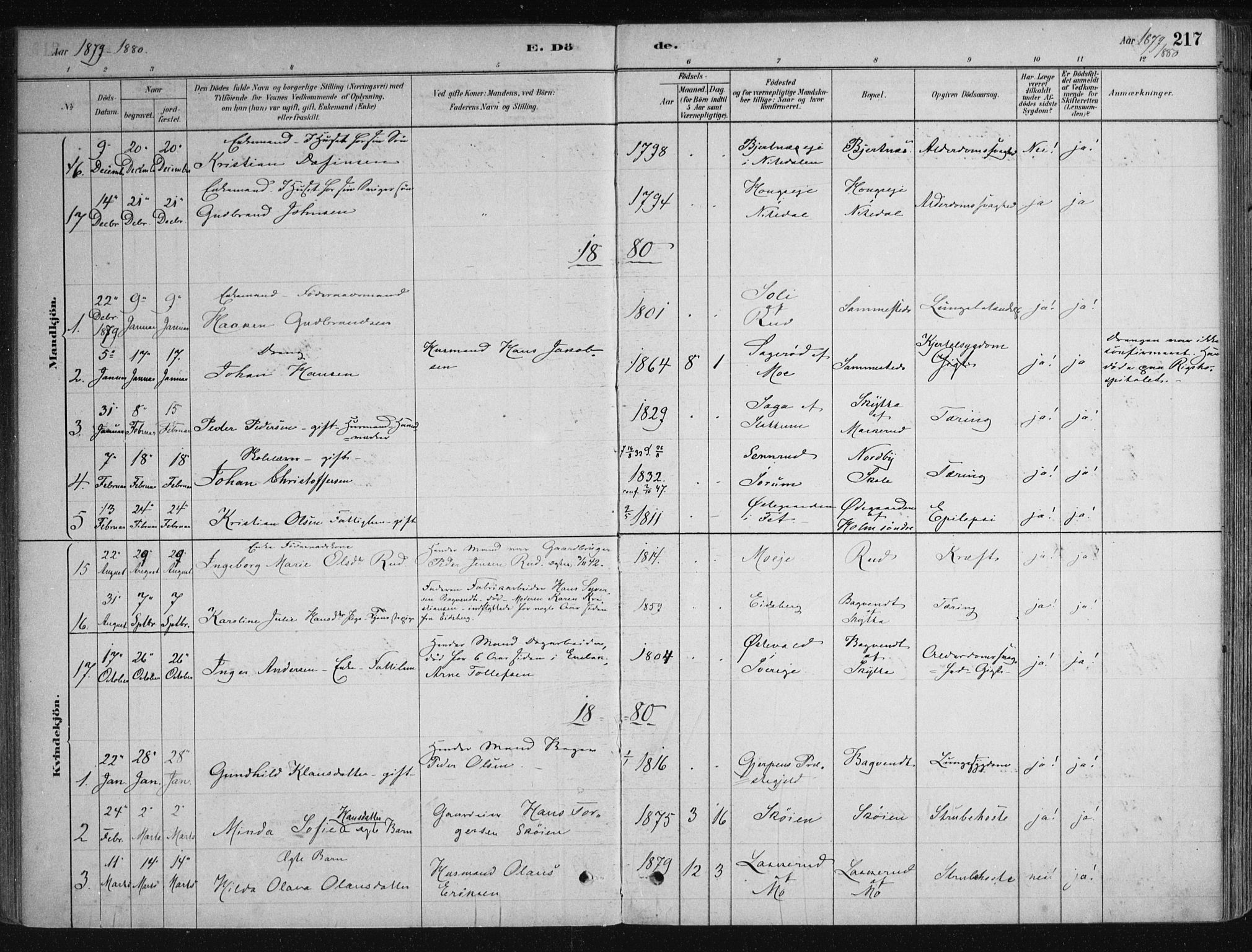 Nittedal prestekontor Kirkebøker, SAO/A-10365a/F/Fa/L0007: Parish register (official) no. I 7, 1879-1901, p. 217