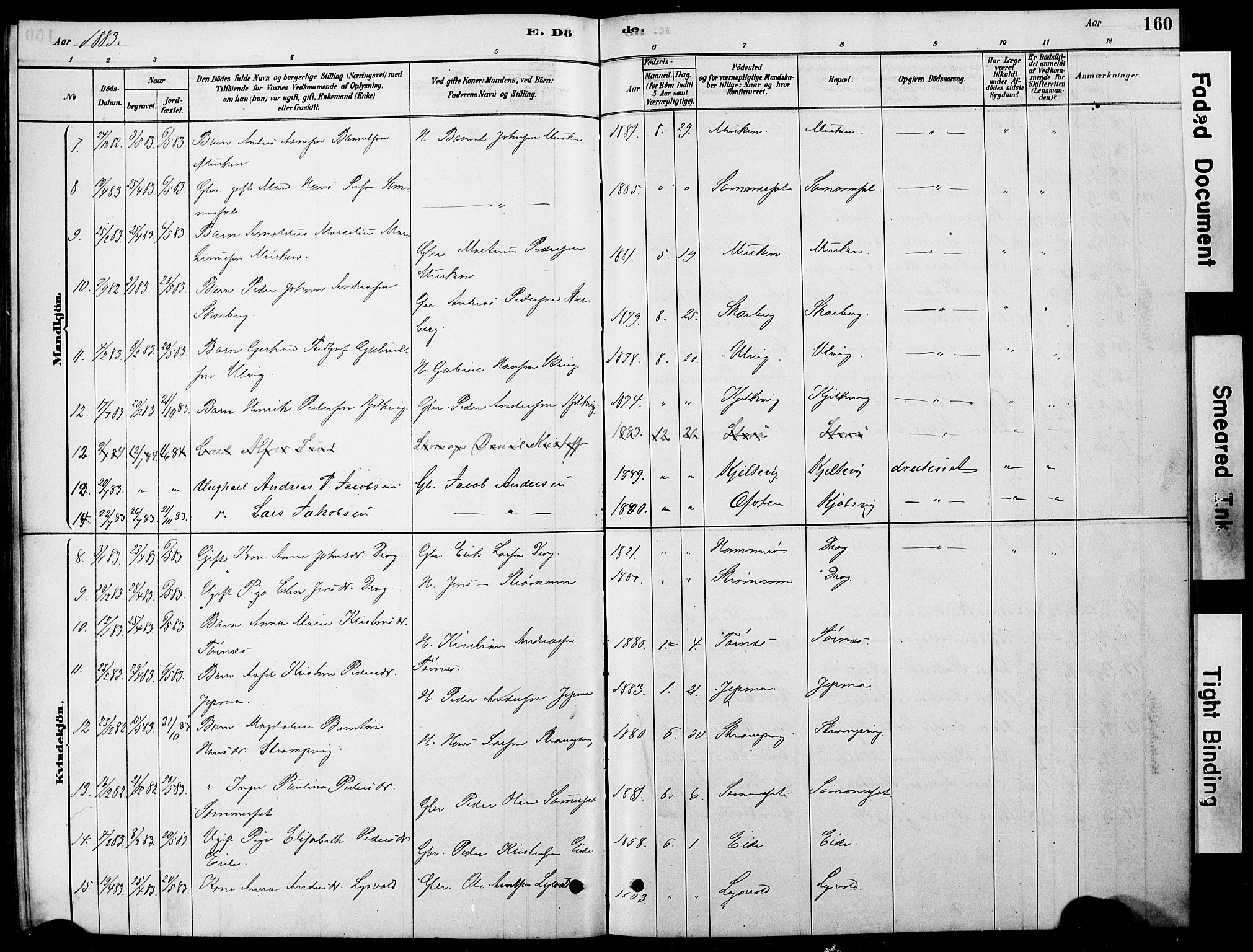 Ministerialprotokoller, klokkerbøker og fødselsregistre - Nordland, AV/SAT-A-1459/861/L0875: Parish register (copy) no. 861C01, 1879-1887, p. 160