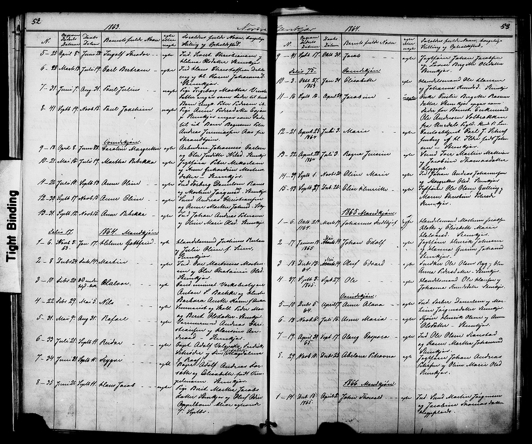 Ministerialprotokoller, klokkerbøker og fødselsregistre - Nord-Trøndelag, SAT/A-1458/739/L0367: Parish register (official) no. 739A01 /2, 1838-1868, p. 52-53