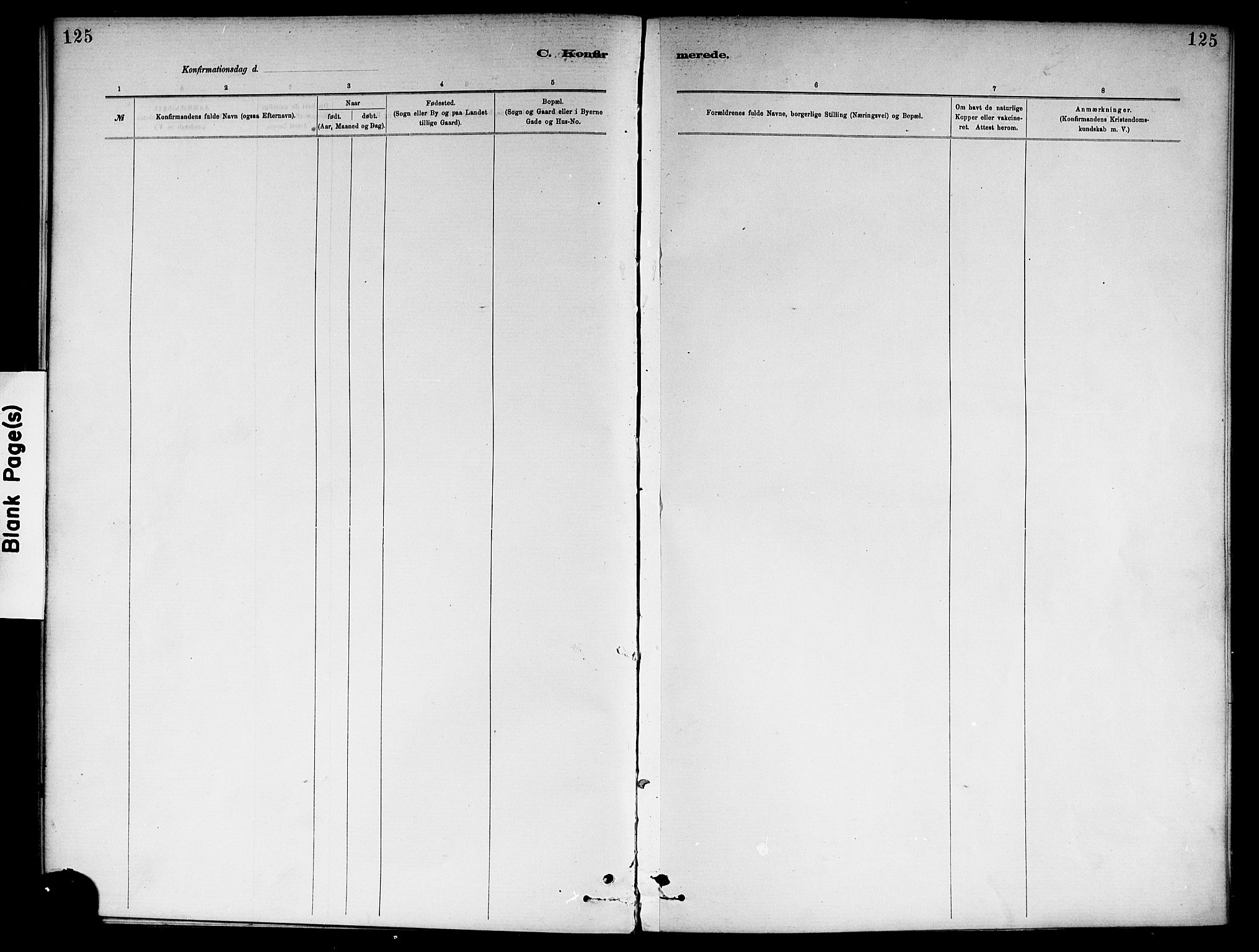 Ål kirkebøker, SAKO/A-249/F/Fa/L0008: Parish register (official) no. I 8, 1882-1896, p. 125