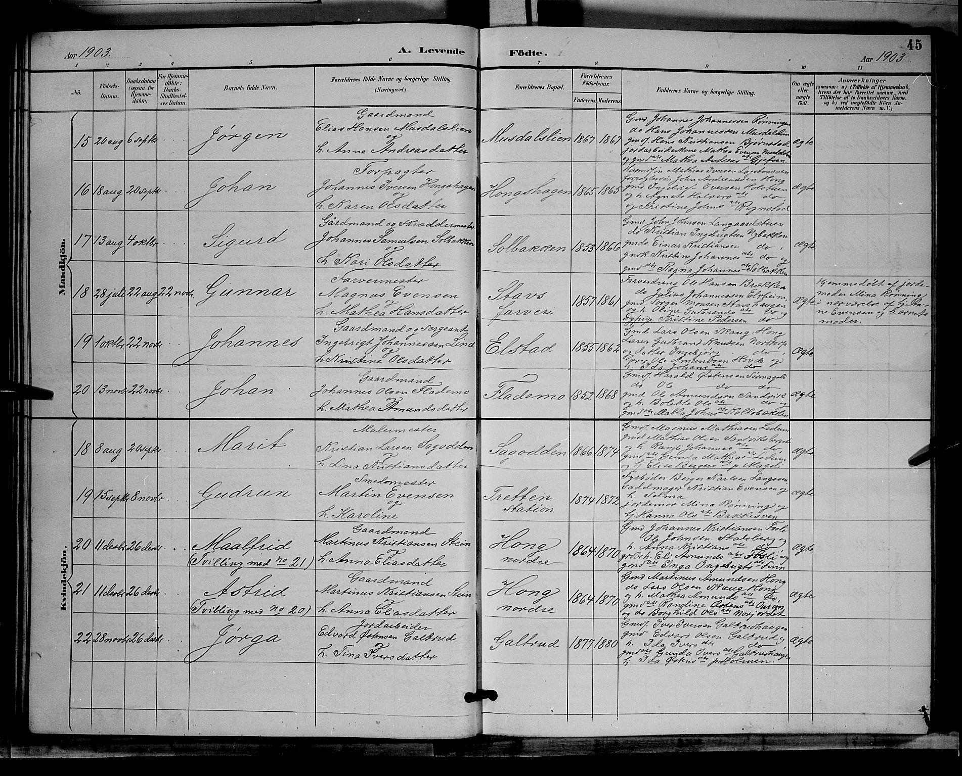 Øyer prestekontor, SAH/PREST-084/H/Ha/Hab/L0004: Parish register (copy) no. 4, 1894-1905, p. 45