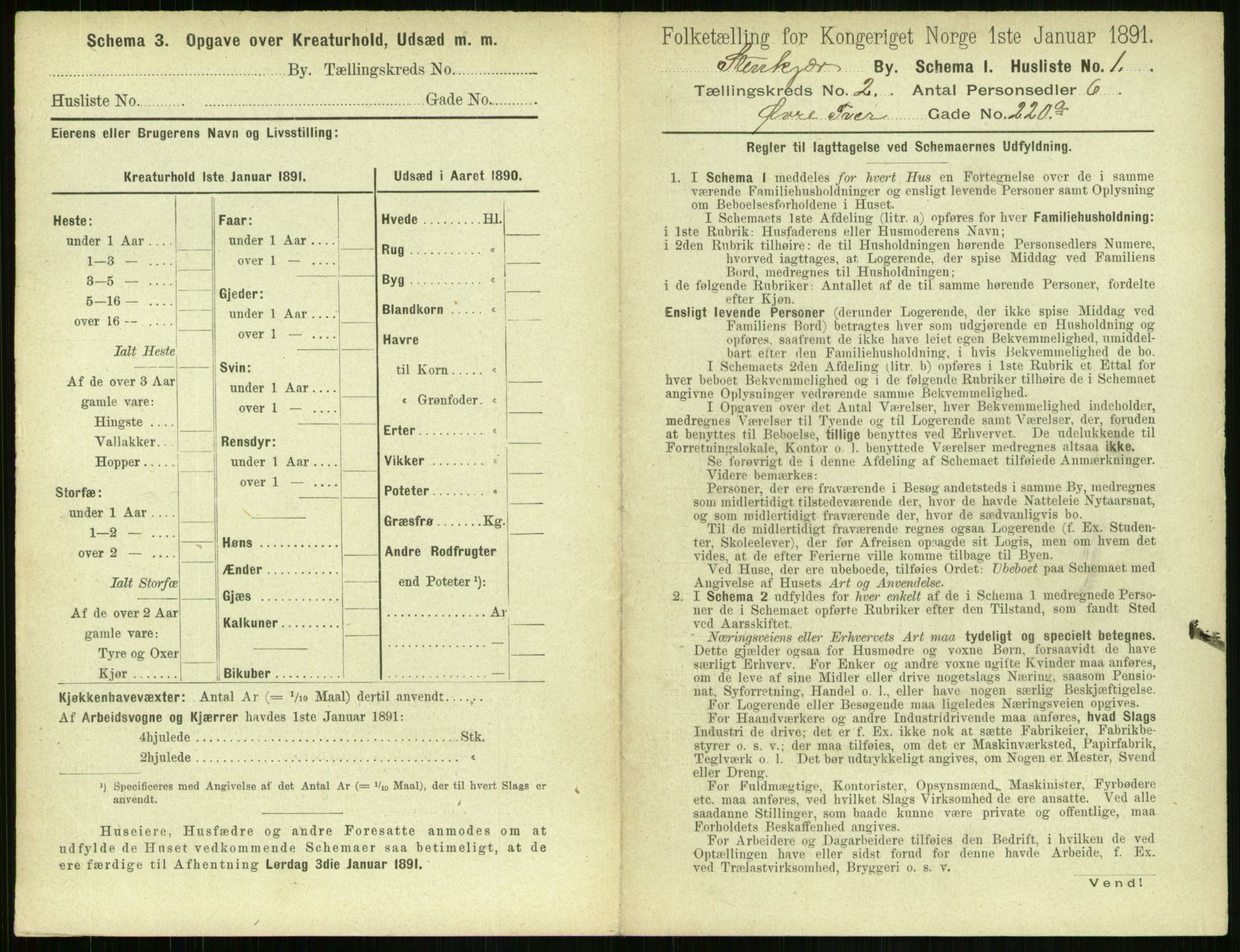 RA, 1891 census for 1702 Steinkjer, 1891, p. 258