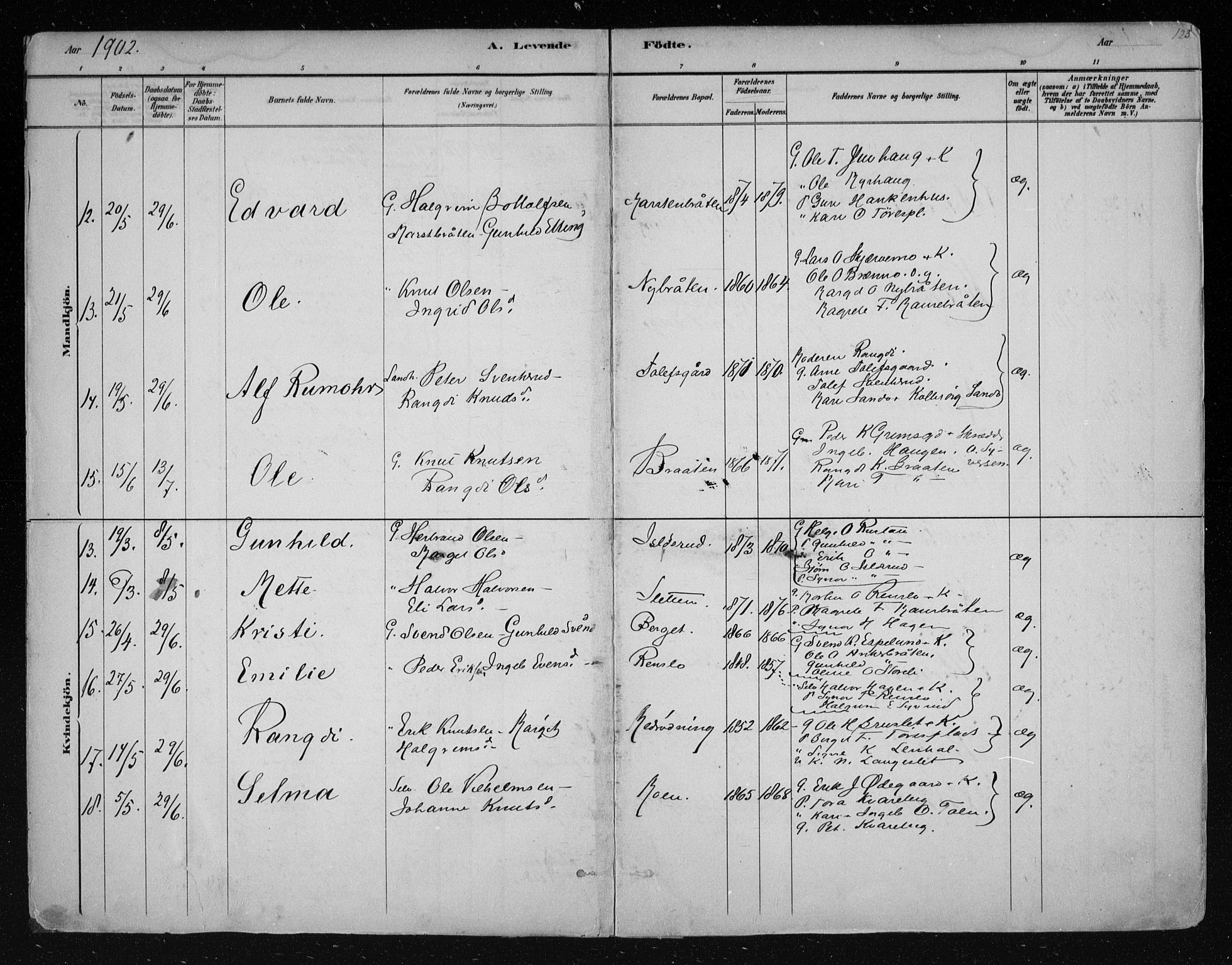 Nes kirkebøker, AV/SAKO-A-236/F/Fa/L0011: Parish register (official) no. 11, 1881-1912, p. 123