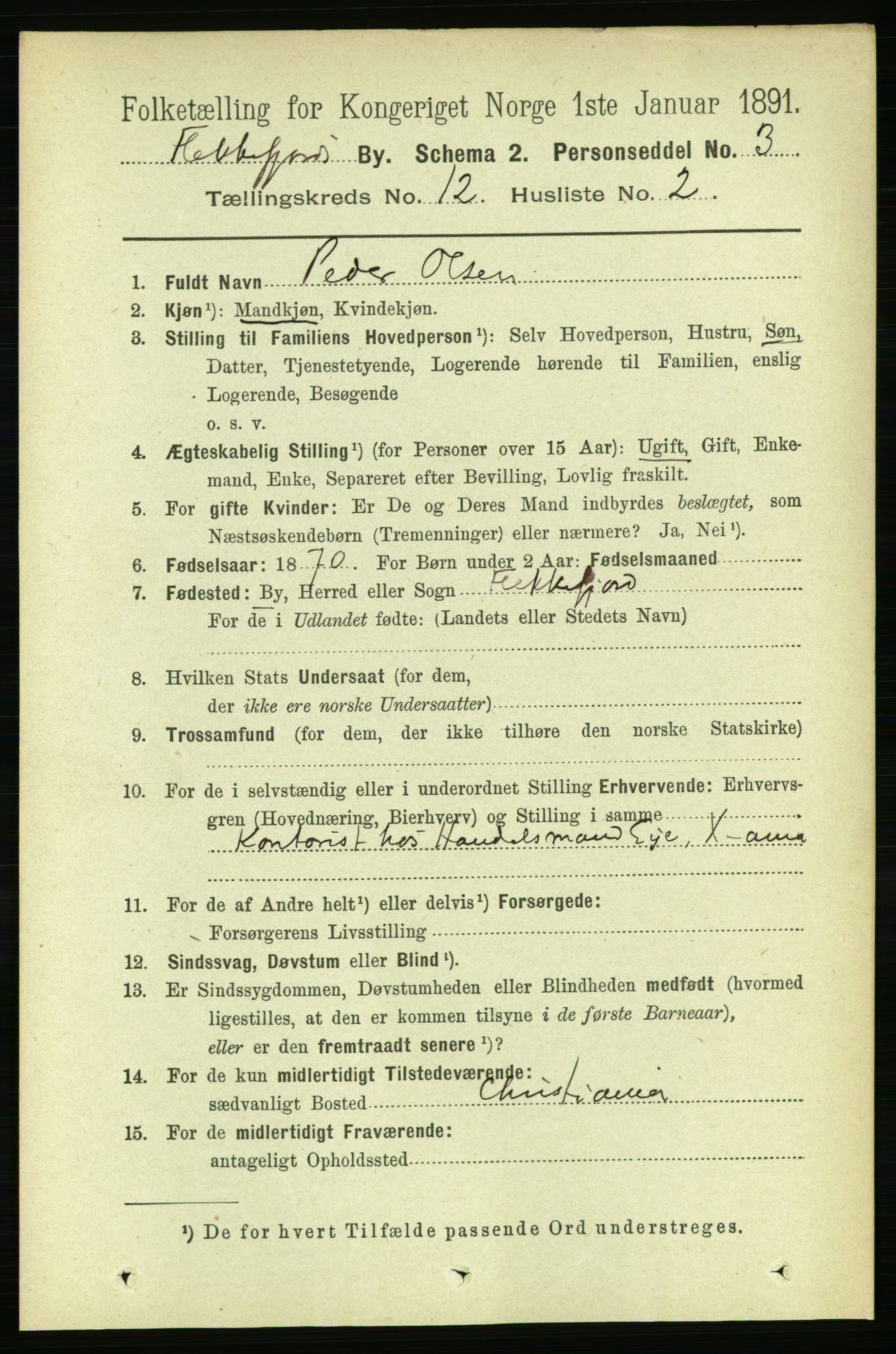 RA, 1891 census for 1004 Flekkefjord, 1891, p. 1697