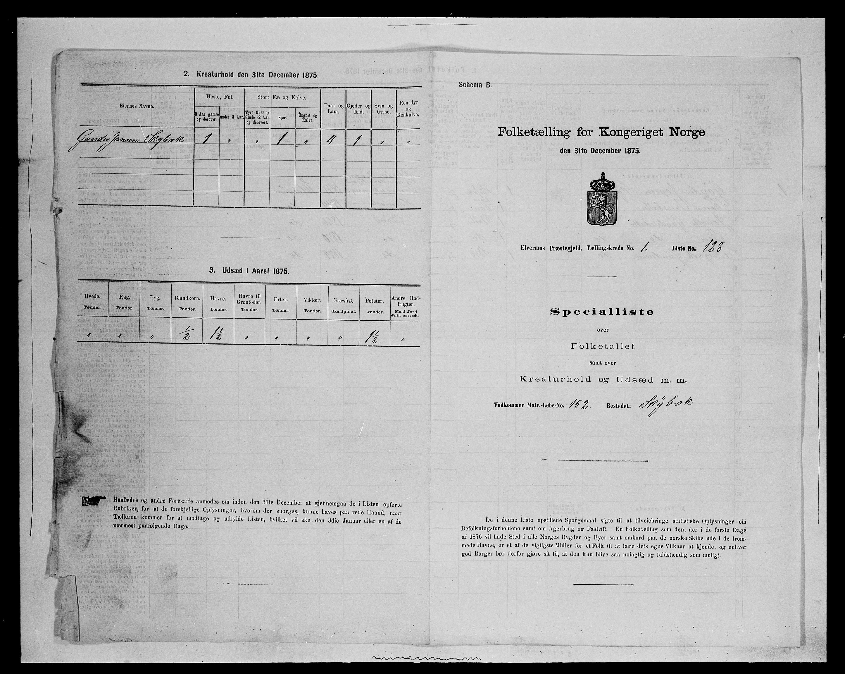 SAH, 1875 census for 0427P Elverum, 1875, p. 493