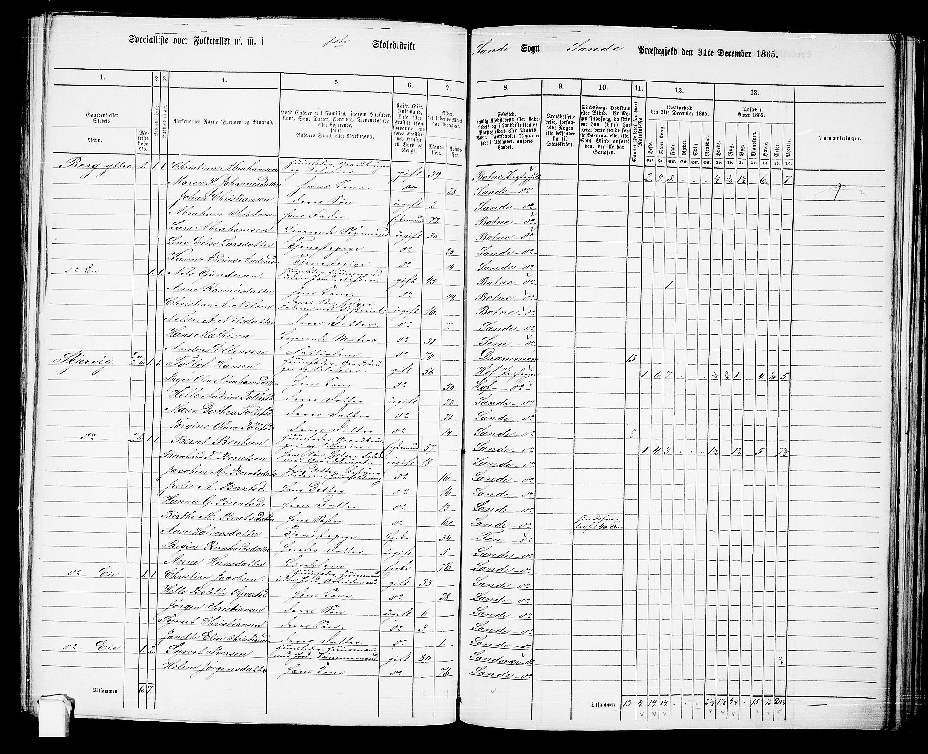 RA, 1865 census for Sande, 1865, p. 9