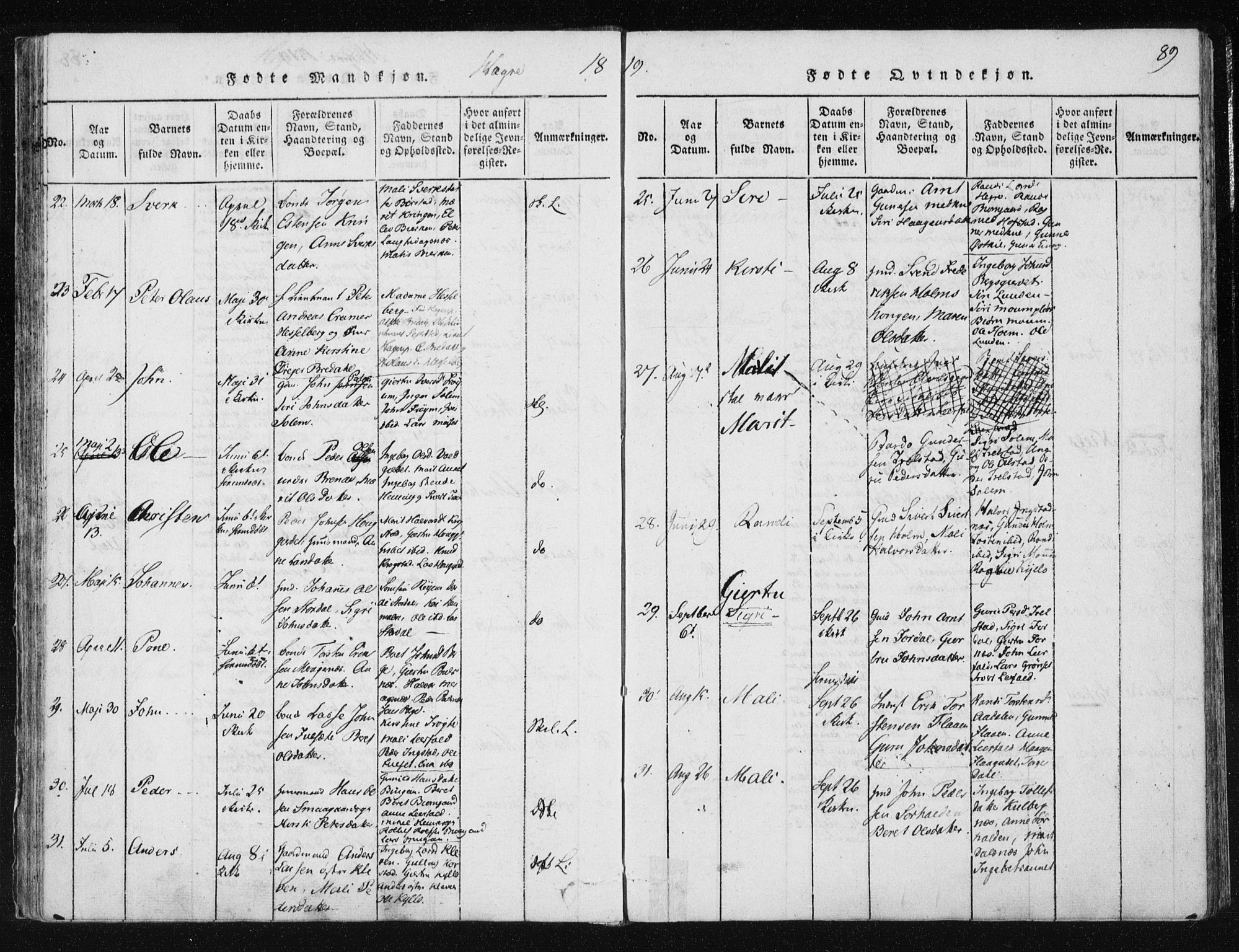 Ministerialprotokoller, klokkerbøker og fødselsregistre - Nord-Trøndelag, AV/SAT-A-1458/709/L0061: Parish register (official) no. 709A08 /4, 1815-1819, p. 89