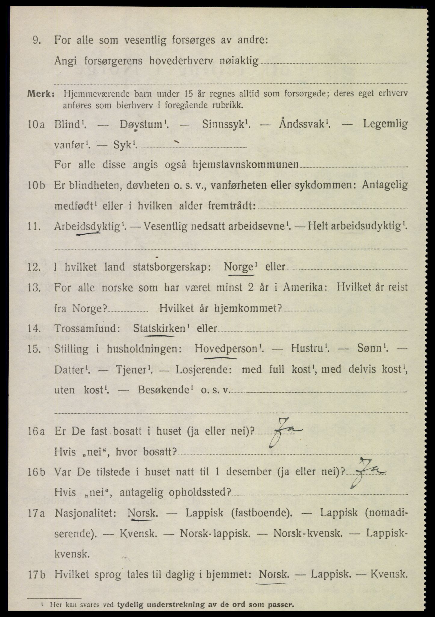 SAT, 1920 census for Hamarøy, 1920, p. 2017